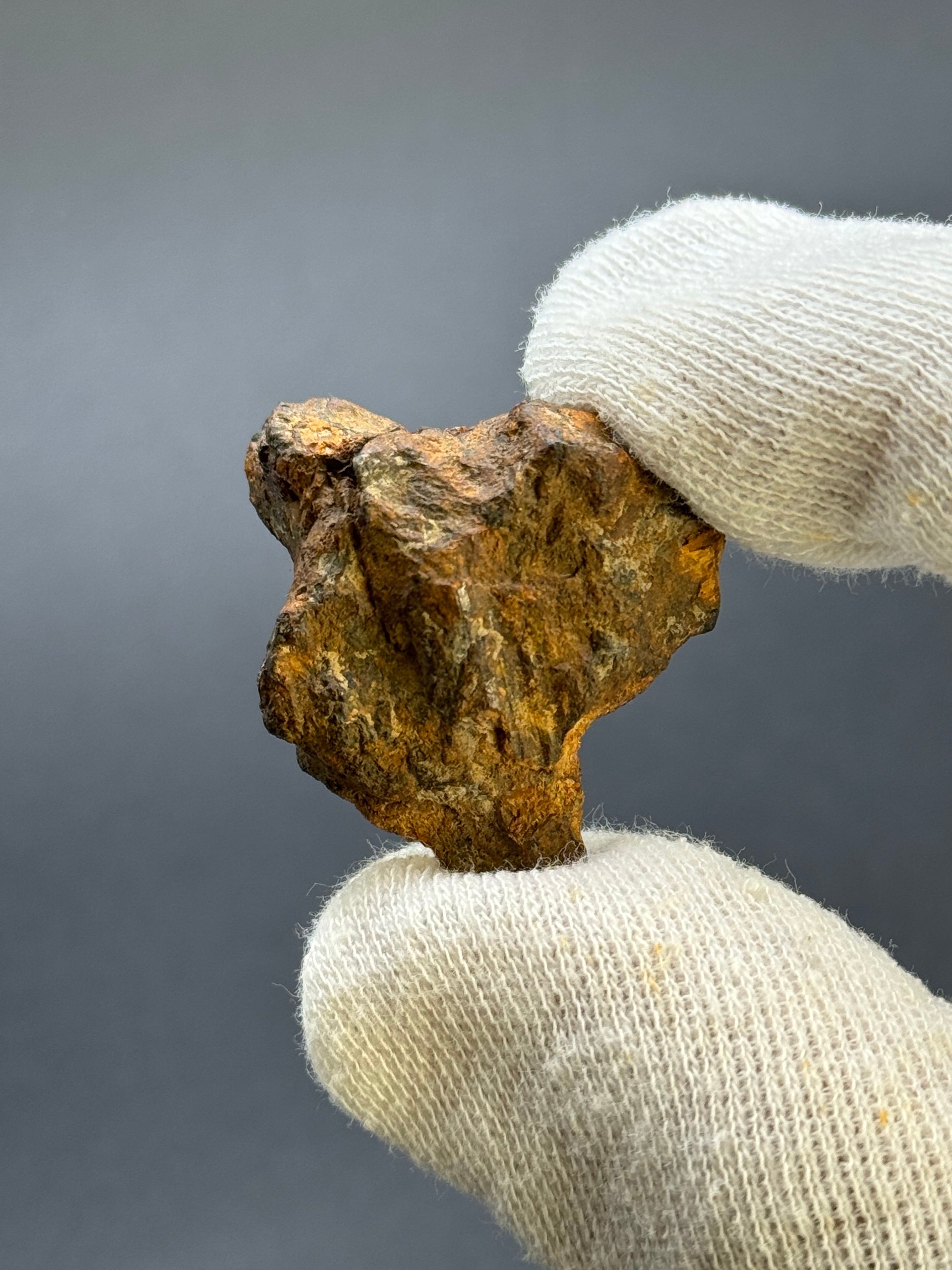 SERICHO PALLASITE METEORITE, KENYA. 17,15 GRAMS END-CUT