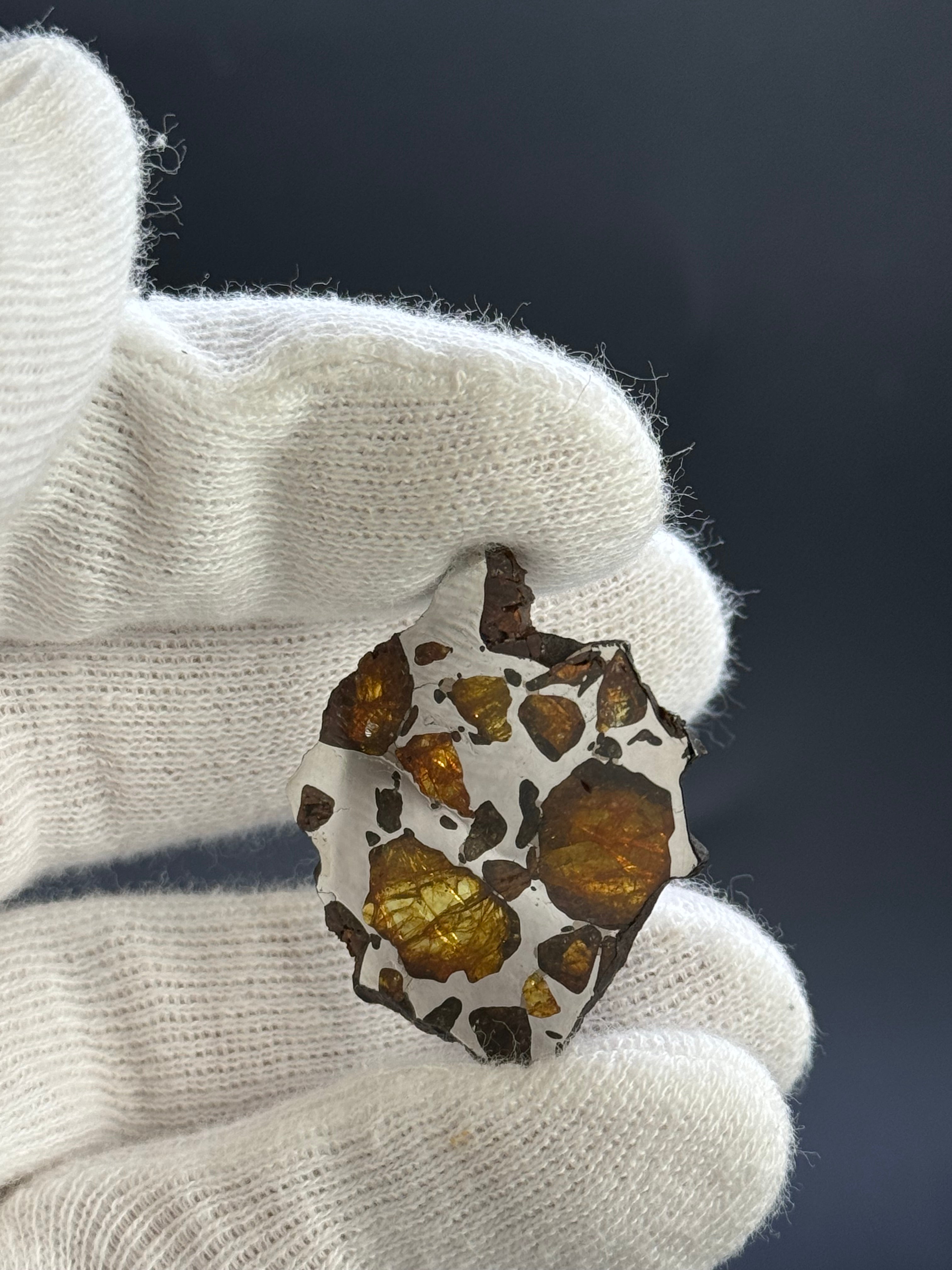 IMILAC PALLASITE METEORITE, CHILE. 7,43 Grams