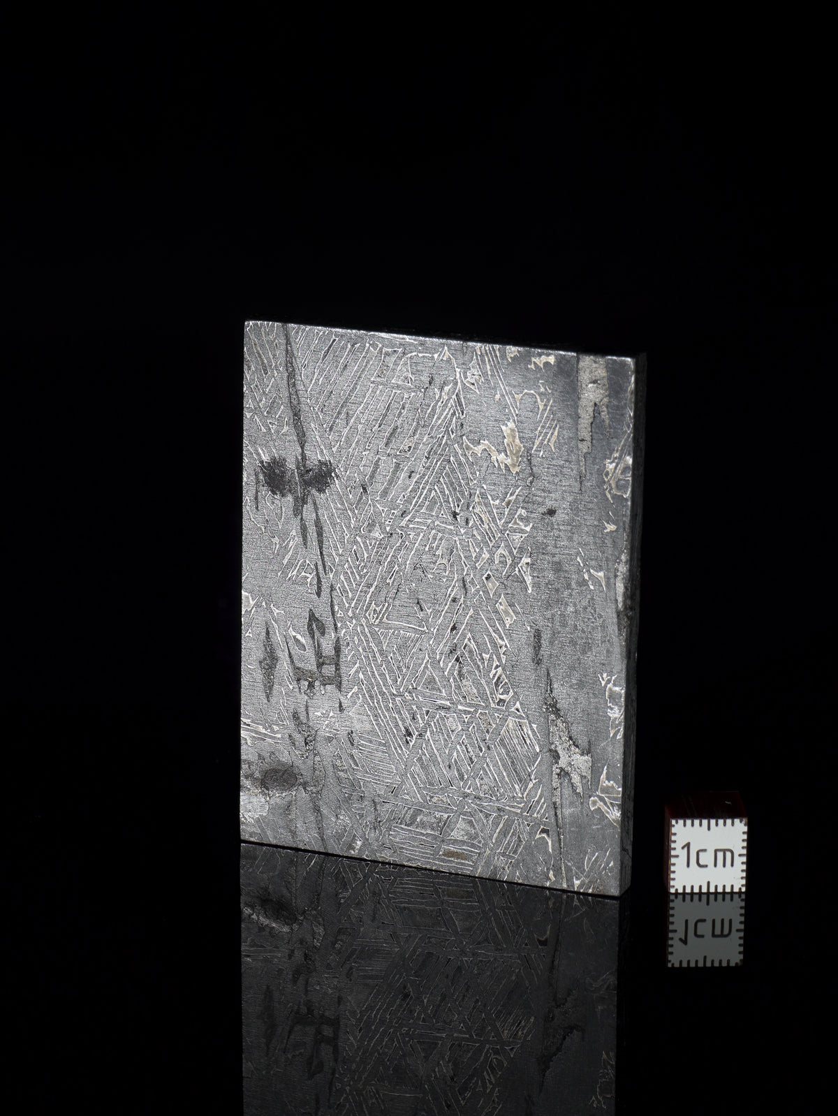 Aletai Meteorite, Gobi Desert, China. 128 grams.