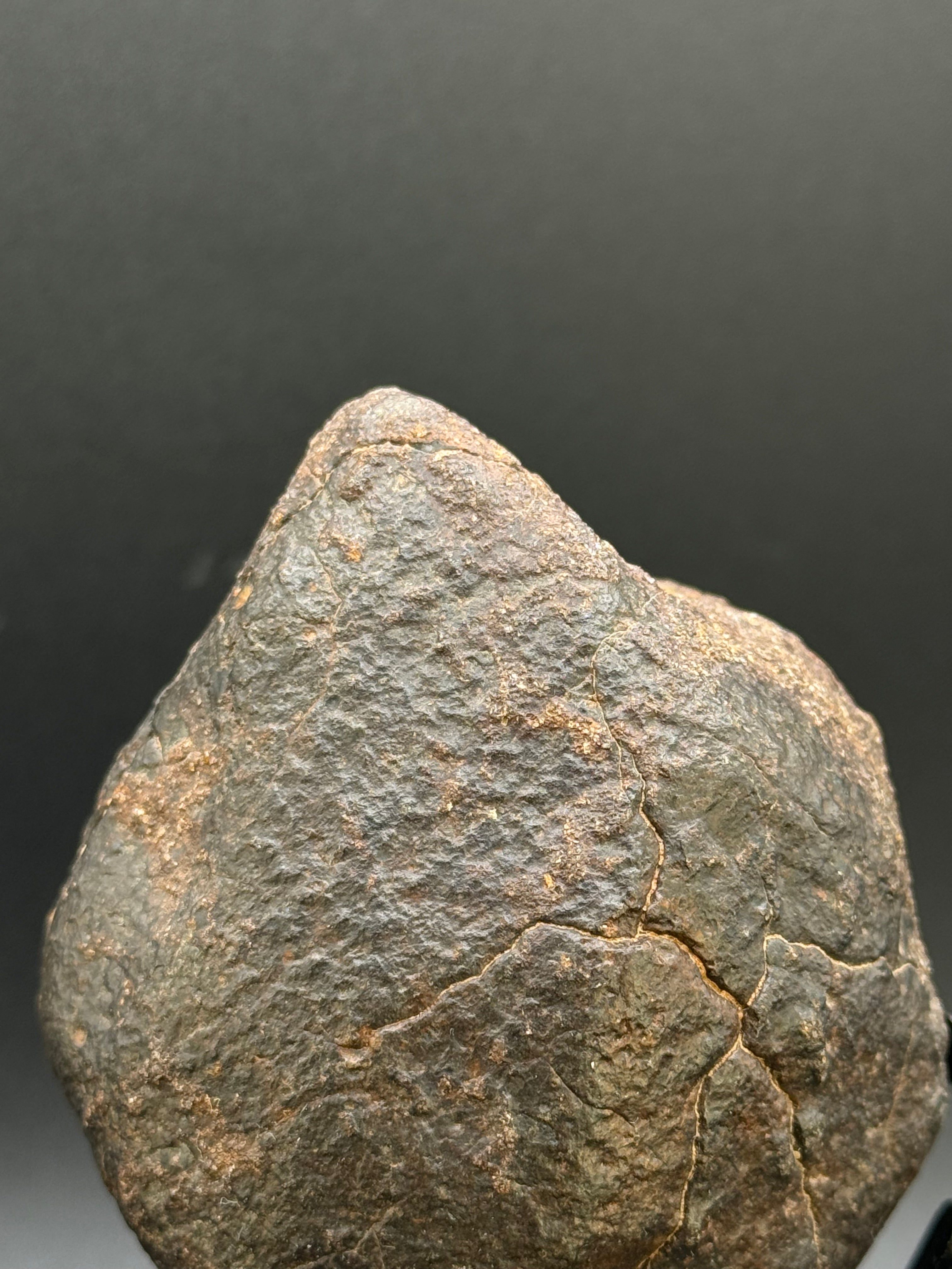CHONDRITE METEORITE, NORTH WEST AFRICA. 352 GRAMS.