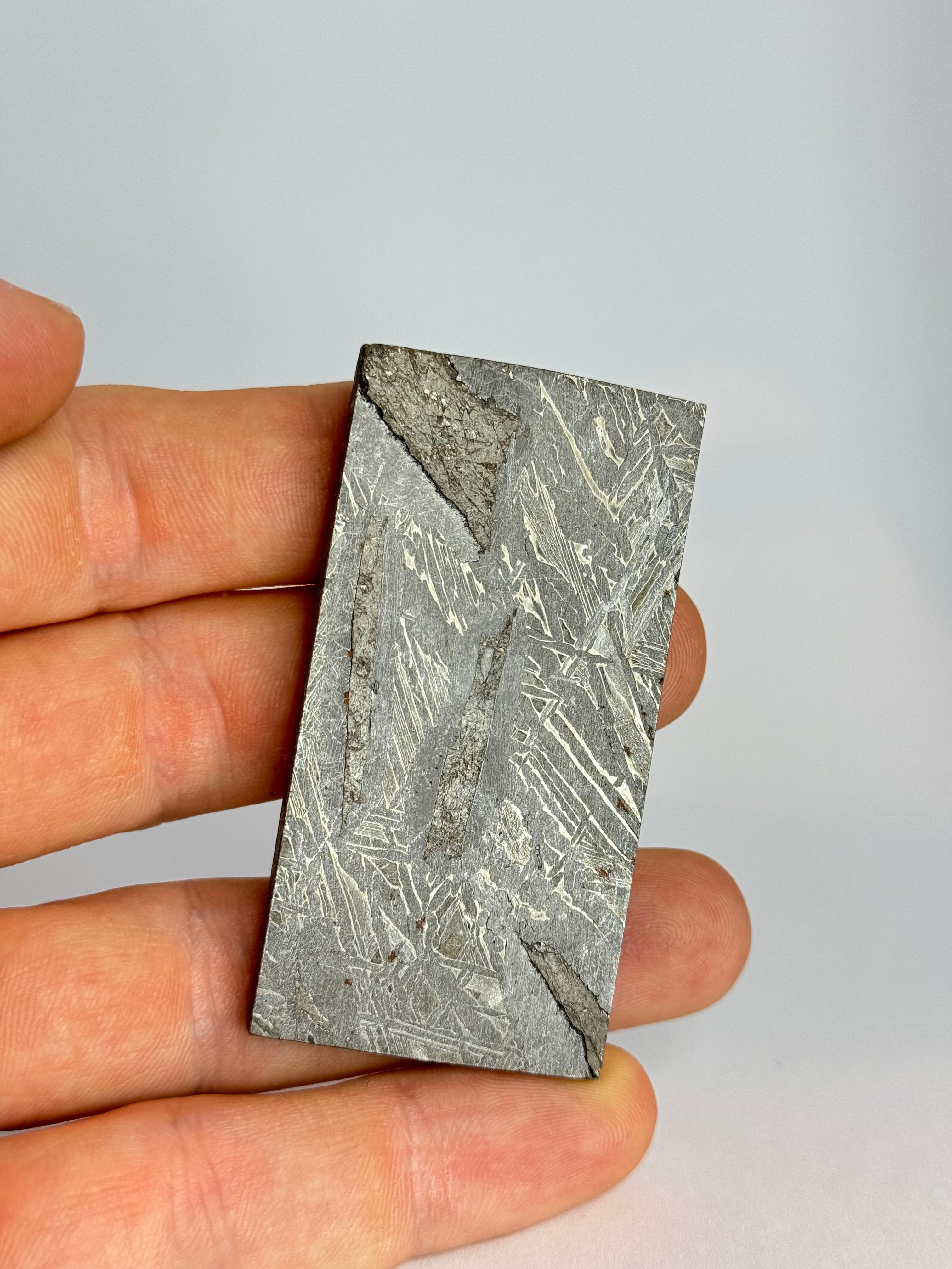 Aletai Meteorite, Gobi Desert. 79.15g slice