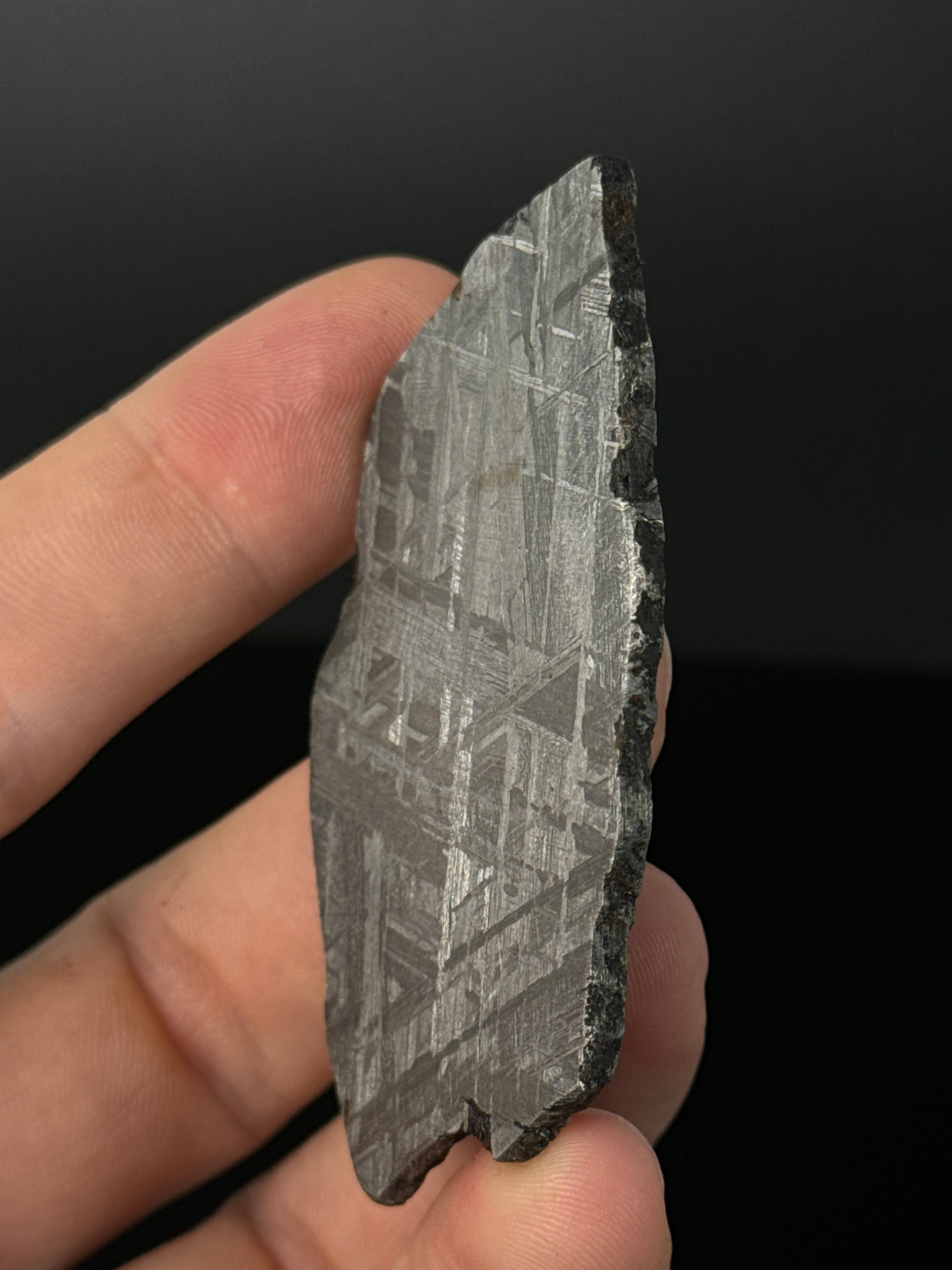 MUONIONALUSTA METEORITE, SWEDEN 49,32 GRAMS.