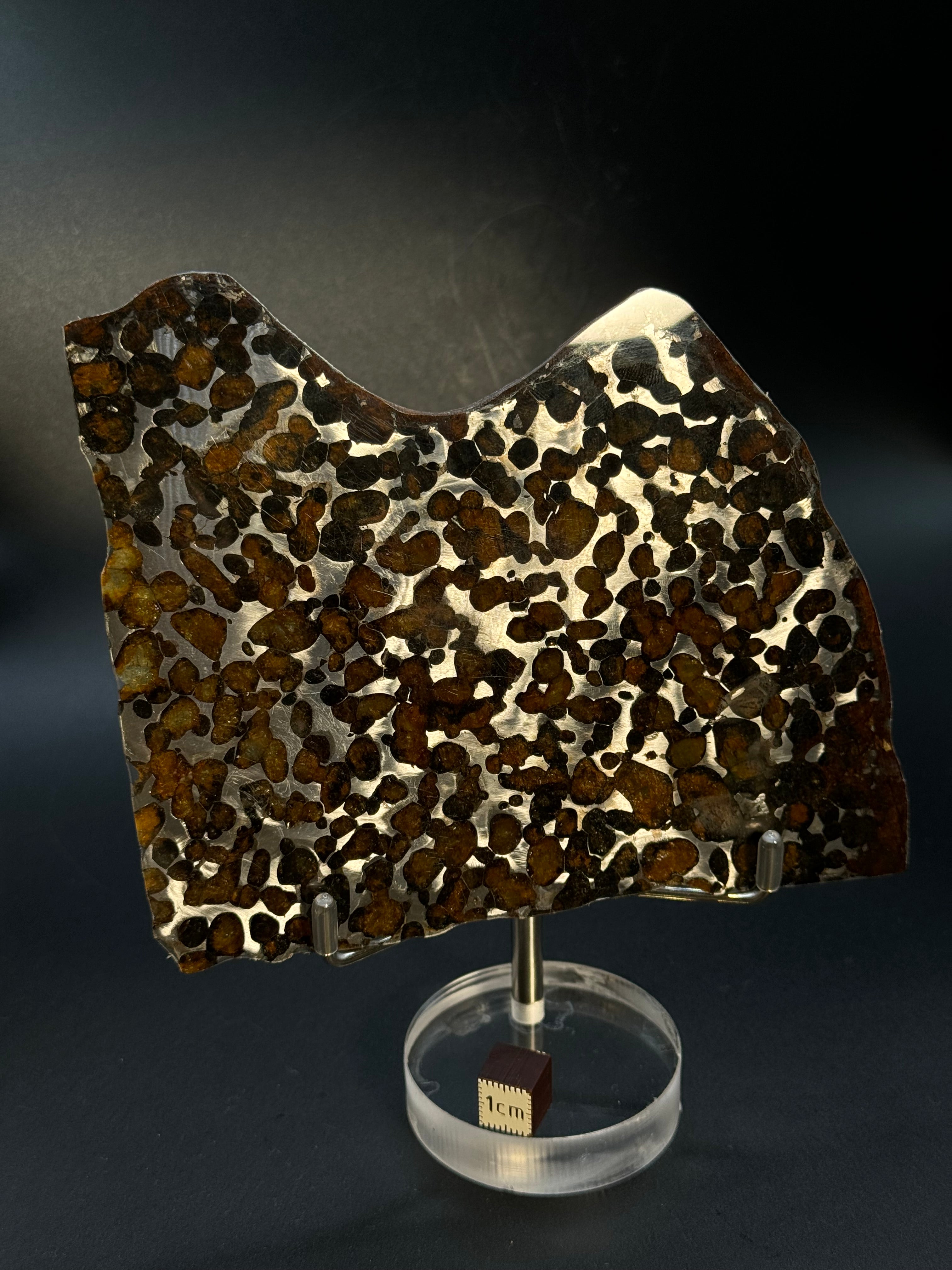 SERICHO METEORITE, KENYA. 81 GRAMS SLICE