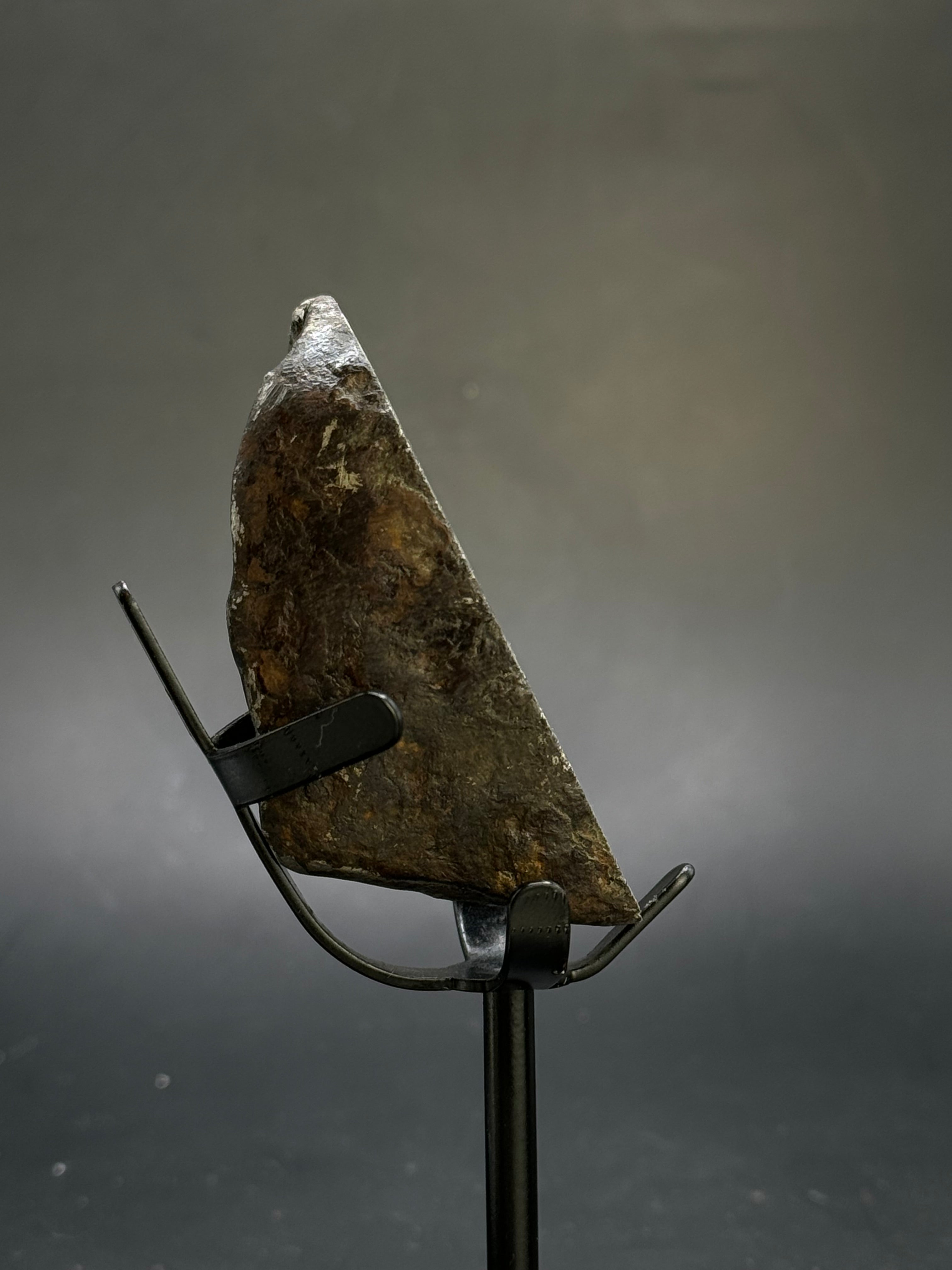 MUONIONALUSTA METEORITE, SWEDEN. 180 GRAMS END-CUT.