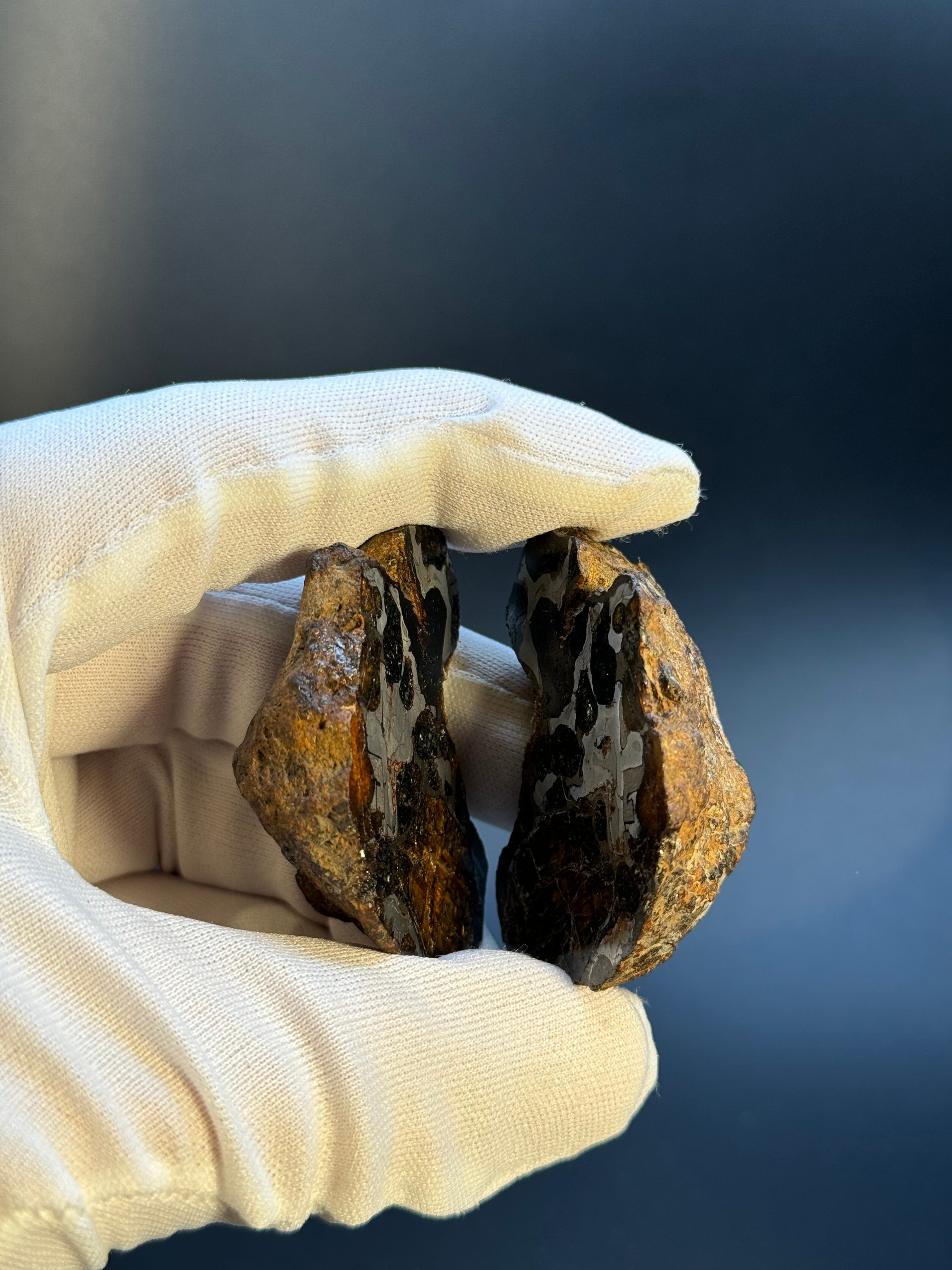 FULL SERICHO METEORITE FROM KENYA, IN TWO HALVES. TOTAL WEIGHT: 121,35 GRAMS.