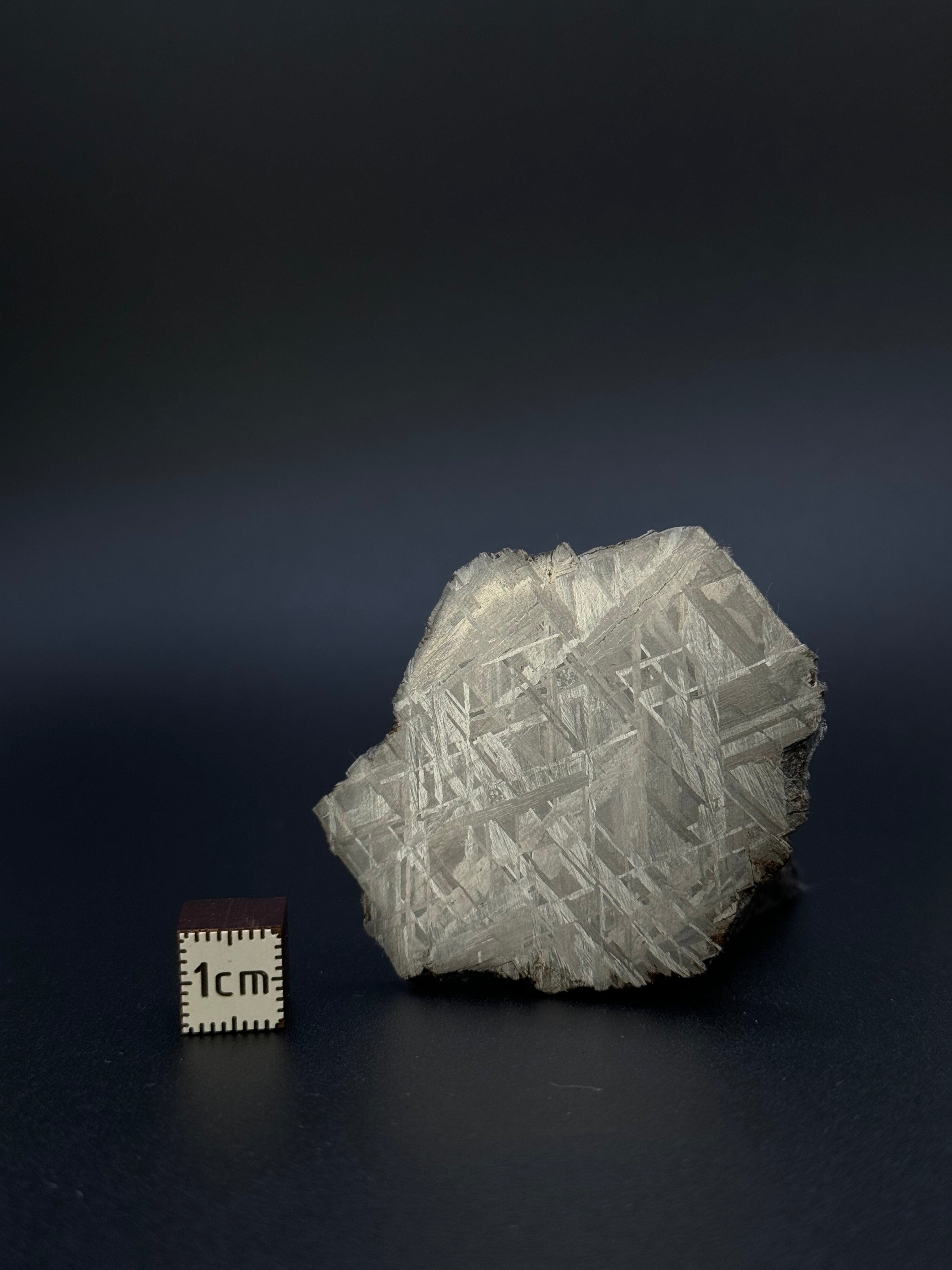 MUONIONALUSTA METEORITE, SWEDEN. 46,38 GRAMS.