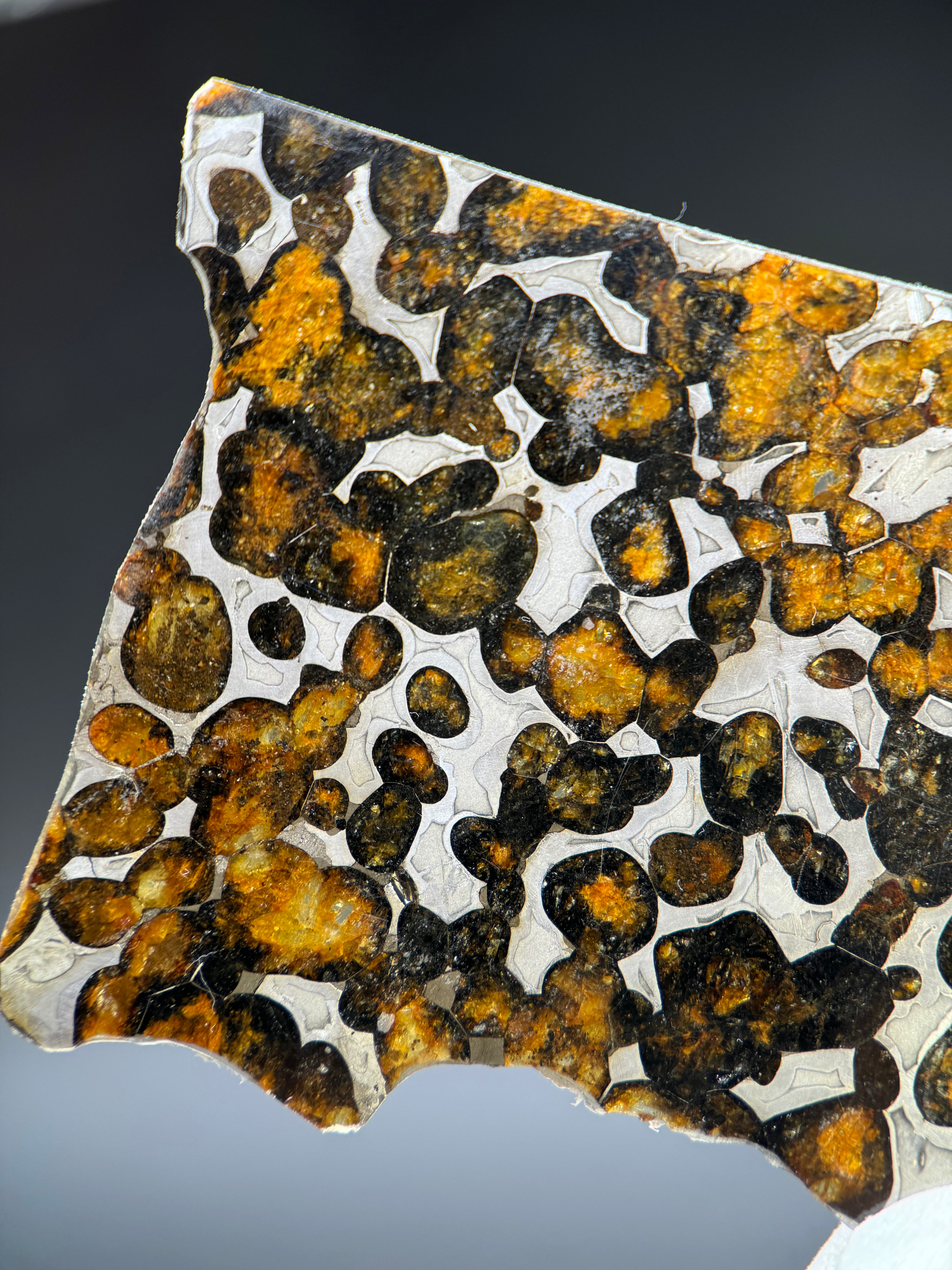 SERICHO METEORITE, KENYA. 20,8 GRAMS SLICE