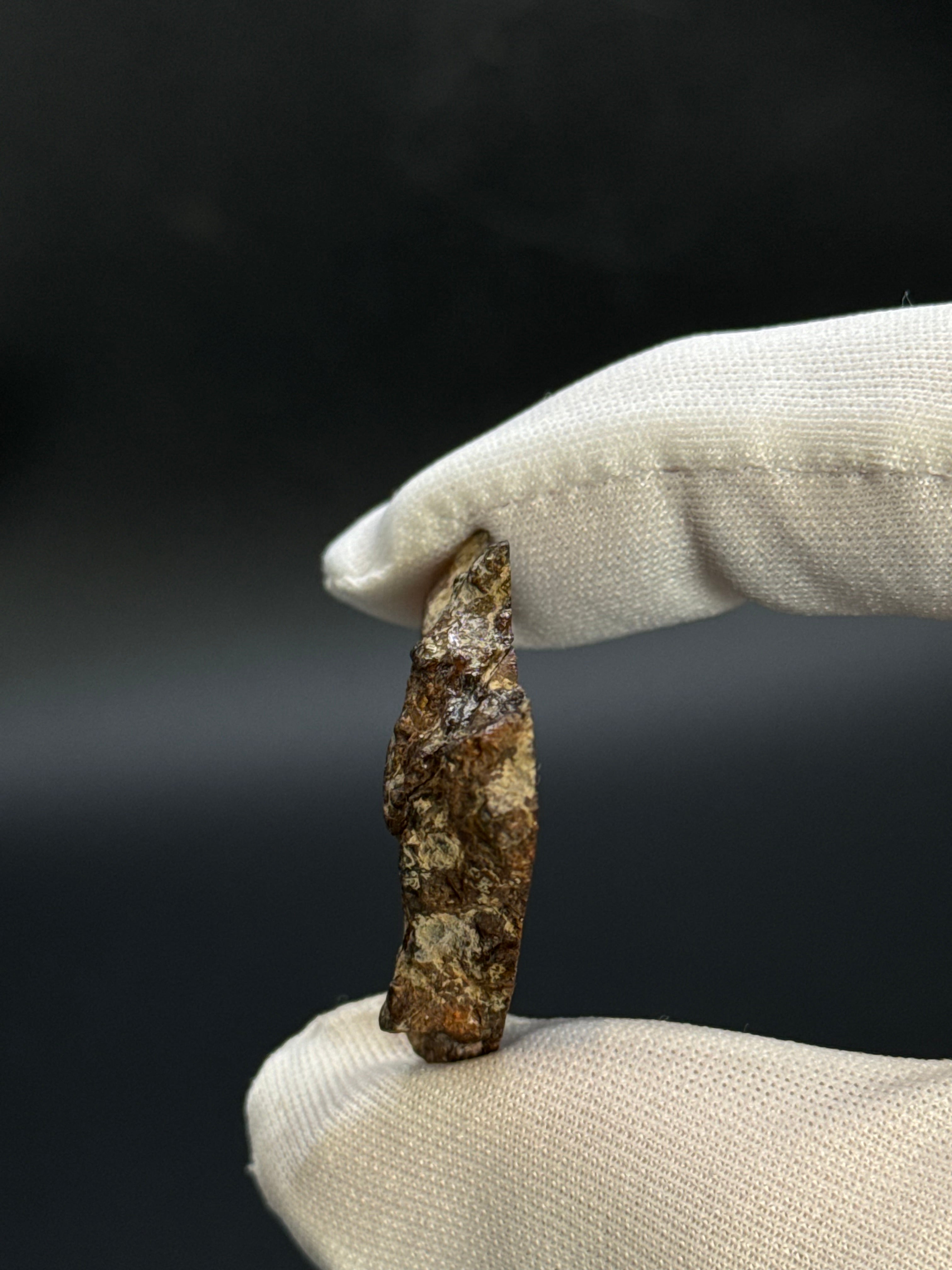 SERICHO PALLASITE METEORITE, KENYA. 15,28 GRAMS END-CUT