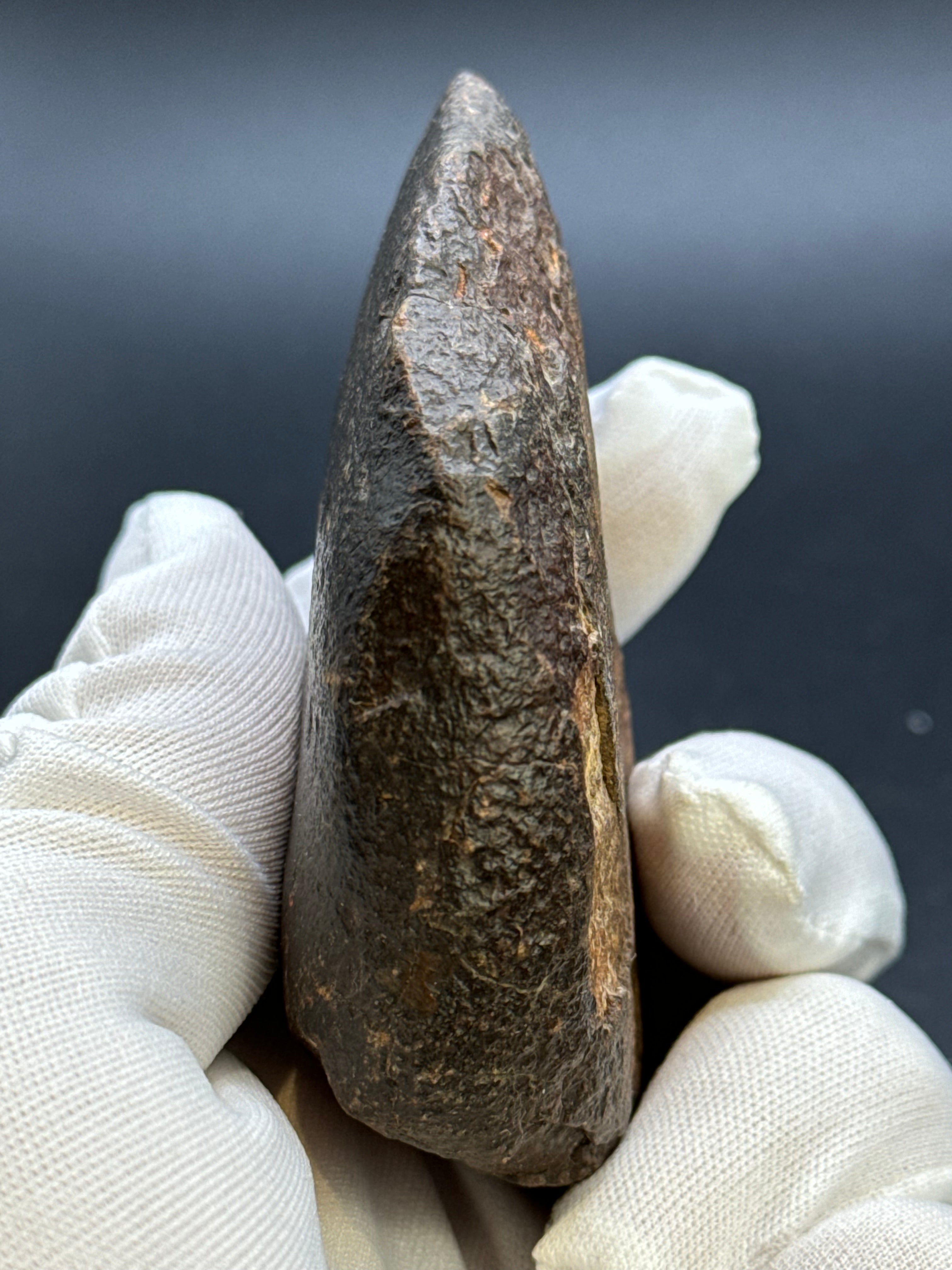 CHONDRITE METEORITE, NORTH WEST AFRICA. 232 GRAMS.