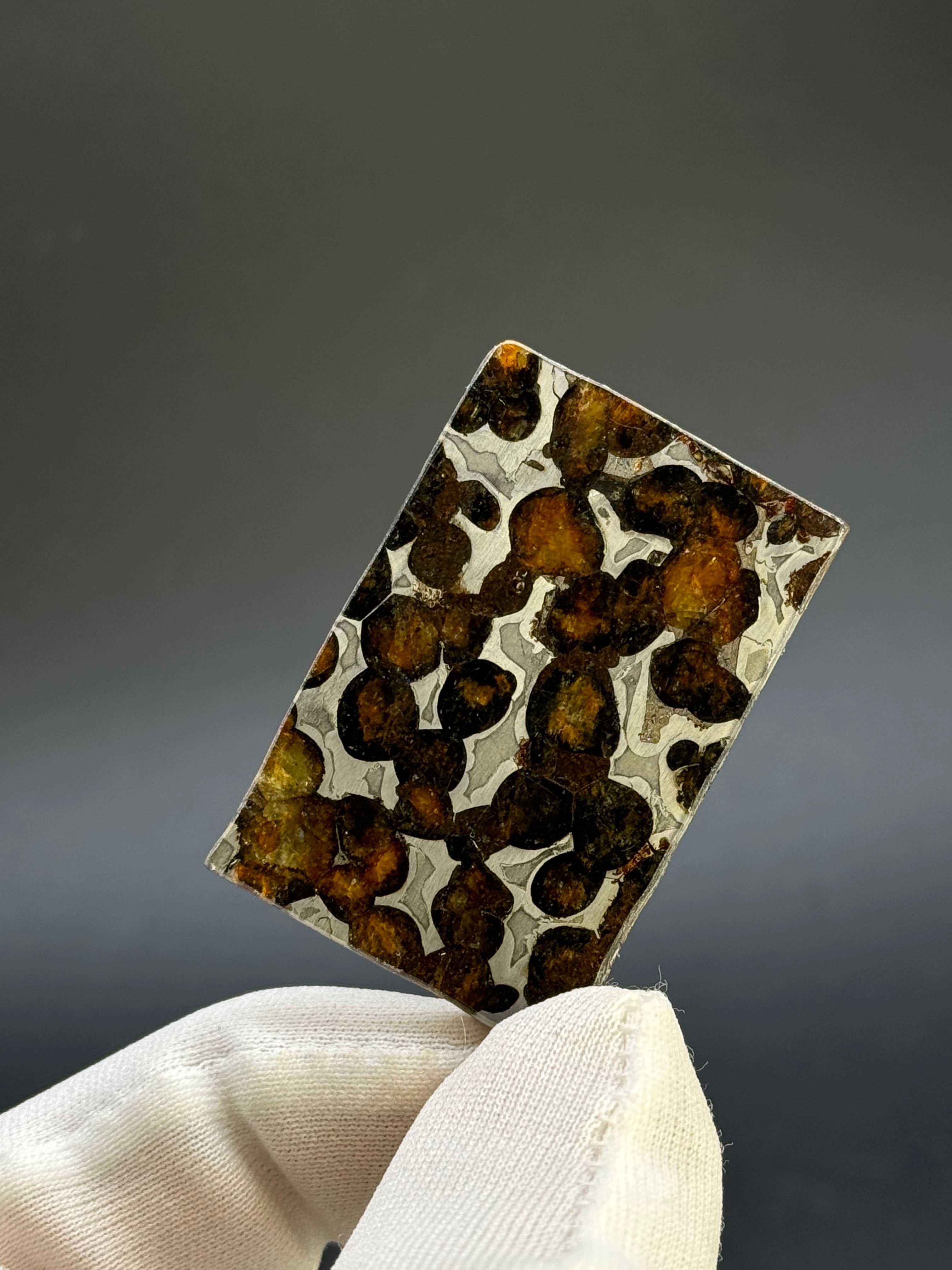 SERICHO METEORITE, KENYA. 9,02 GRAMS SLICE