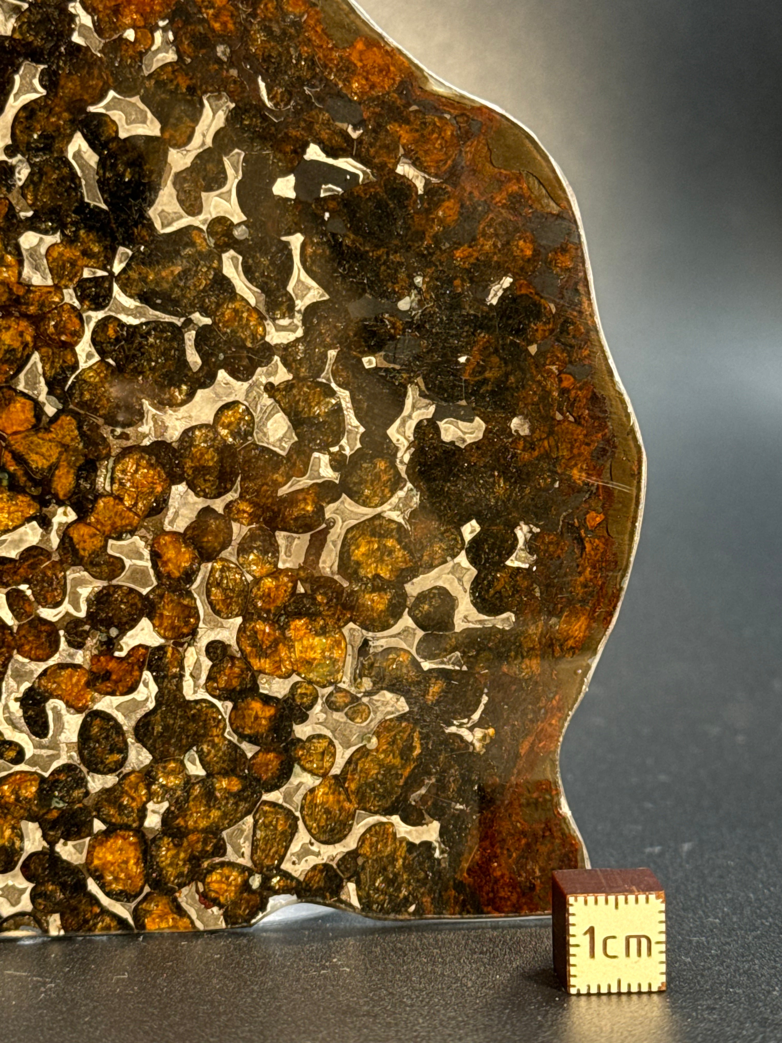 SERICHO METEORITE, KENYA. 49 GRAMS SLICE