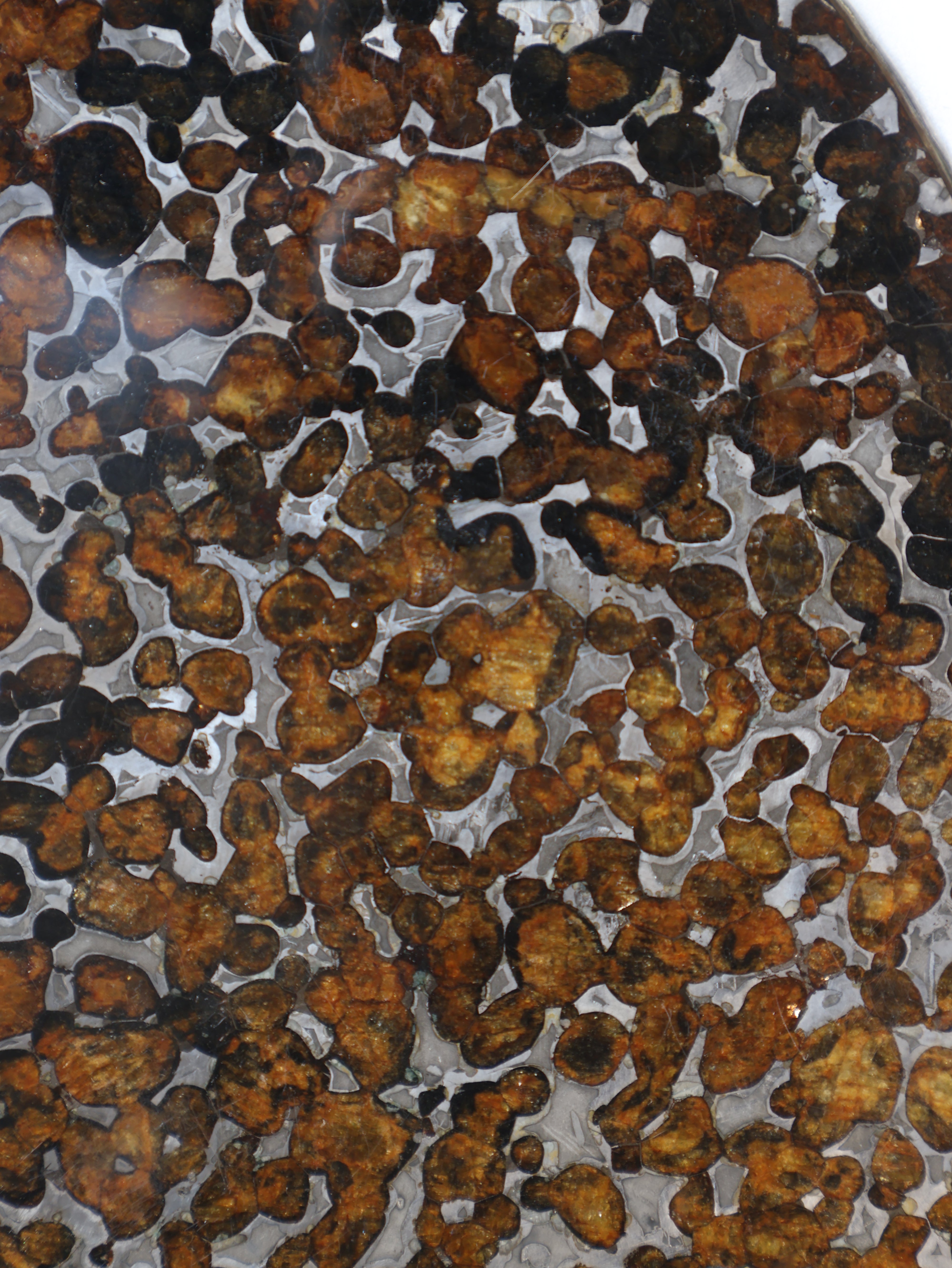 SERICHO METEORITE, KENYA. 87 GRAMS SLICE