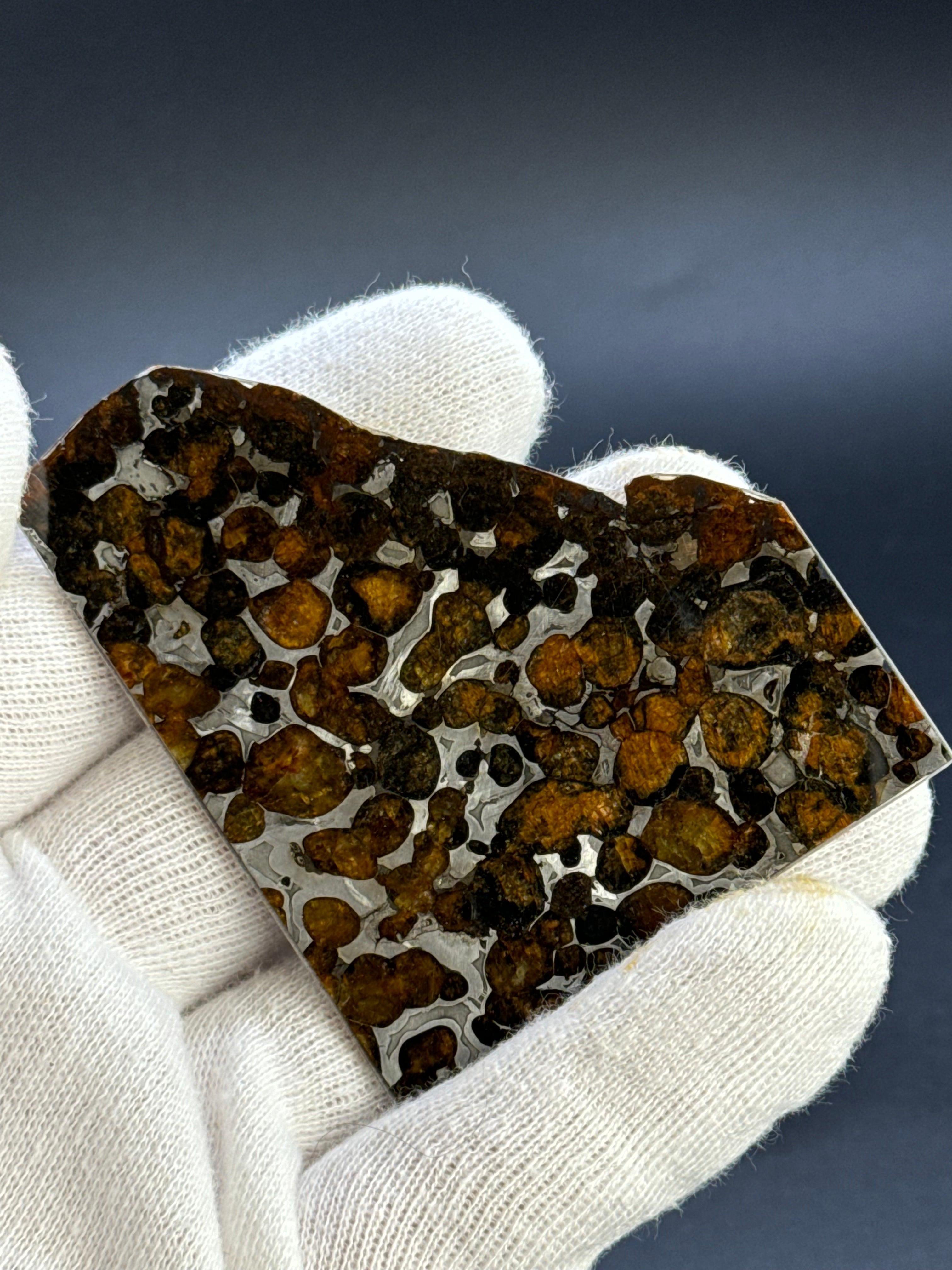 SERICHO METEORITE, KENYA. 23 GRAMS.