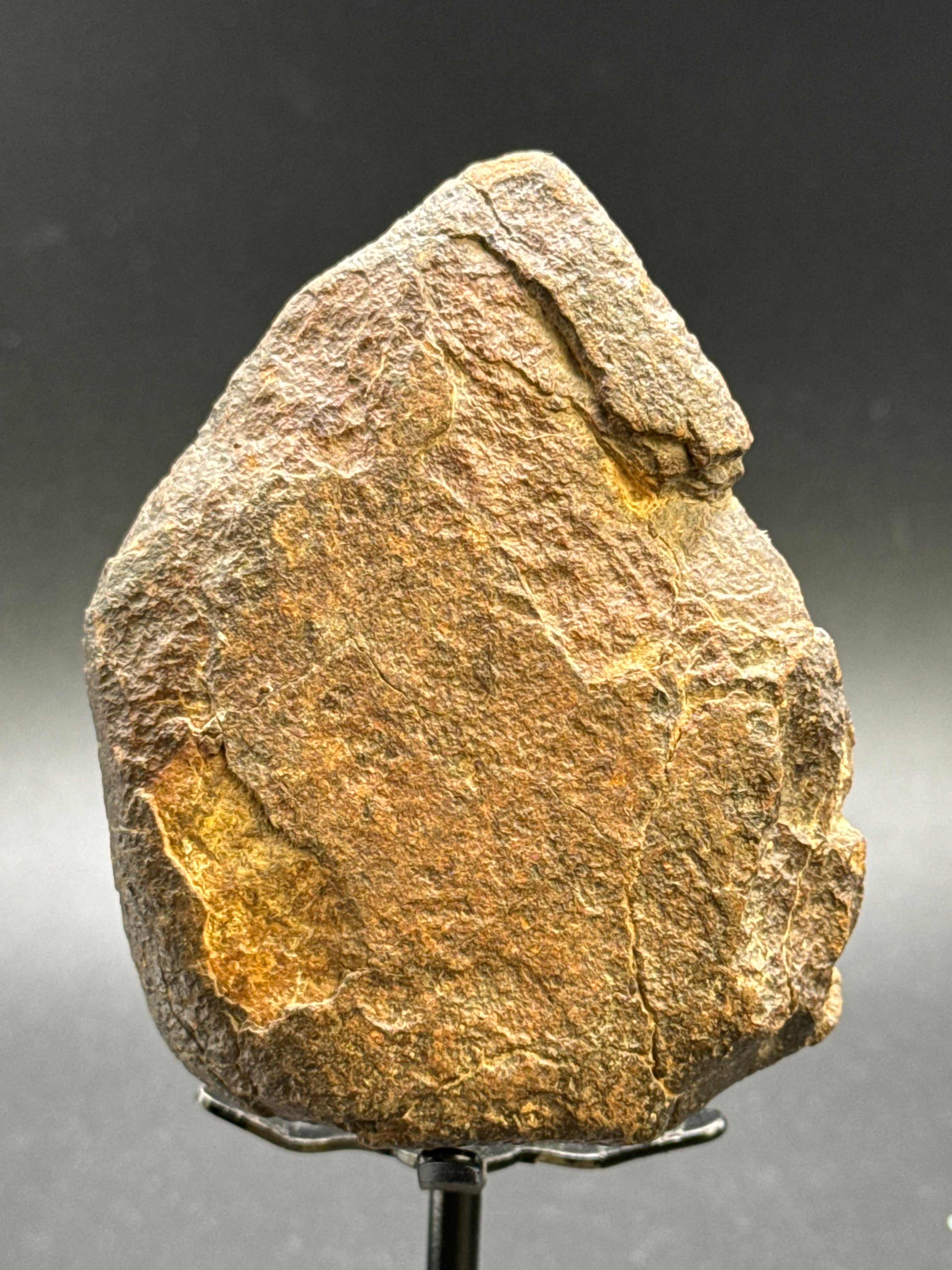 CHONDRITE METEORITE, NORTH WEST AFRICA. 232 GRAMS.