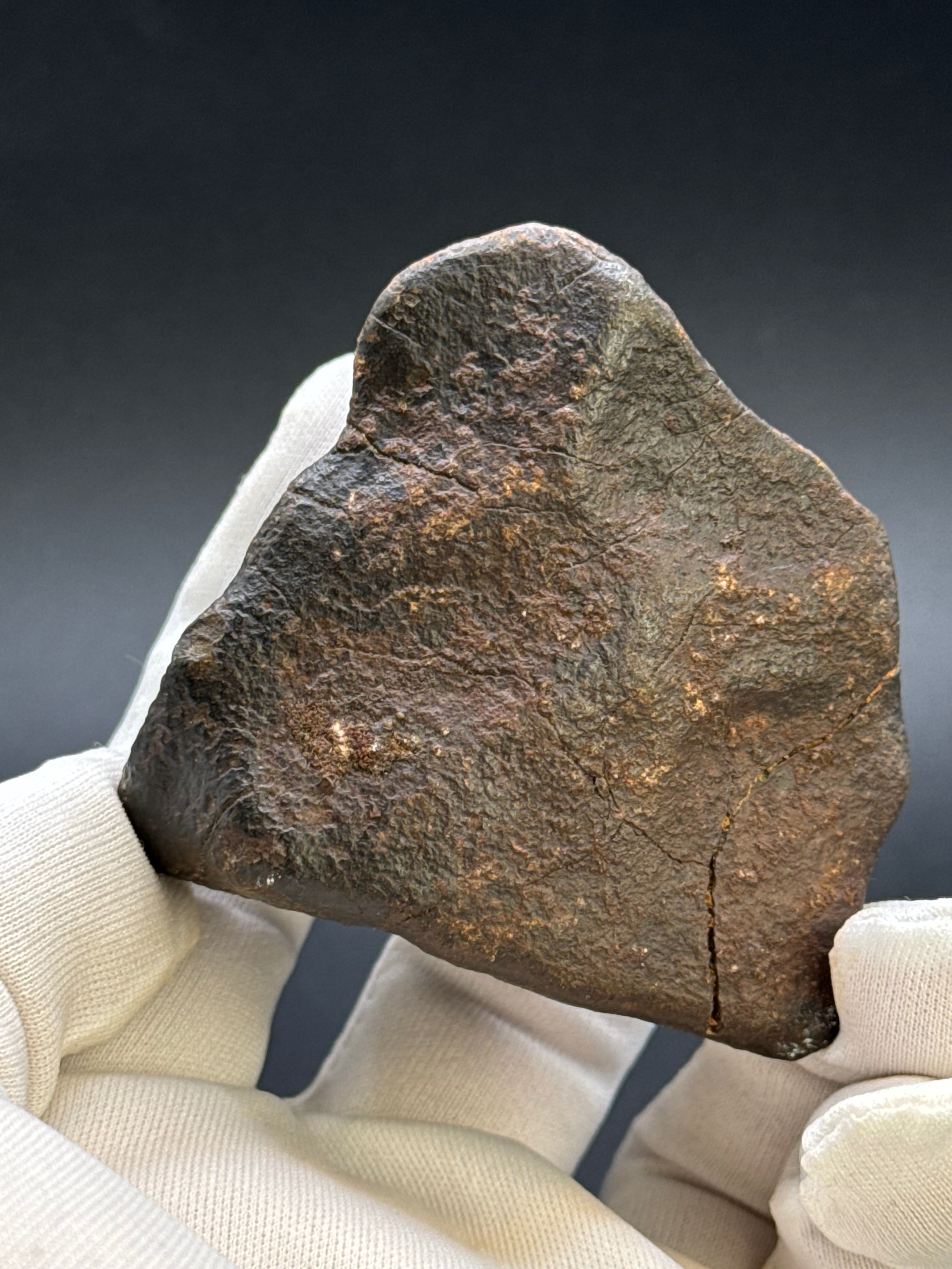 CHONDRITE METEORITE, NORTH WEST AFRICA. 263 GRAMS.