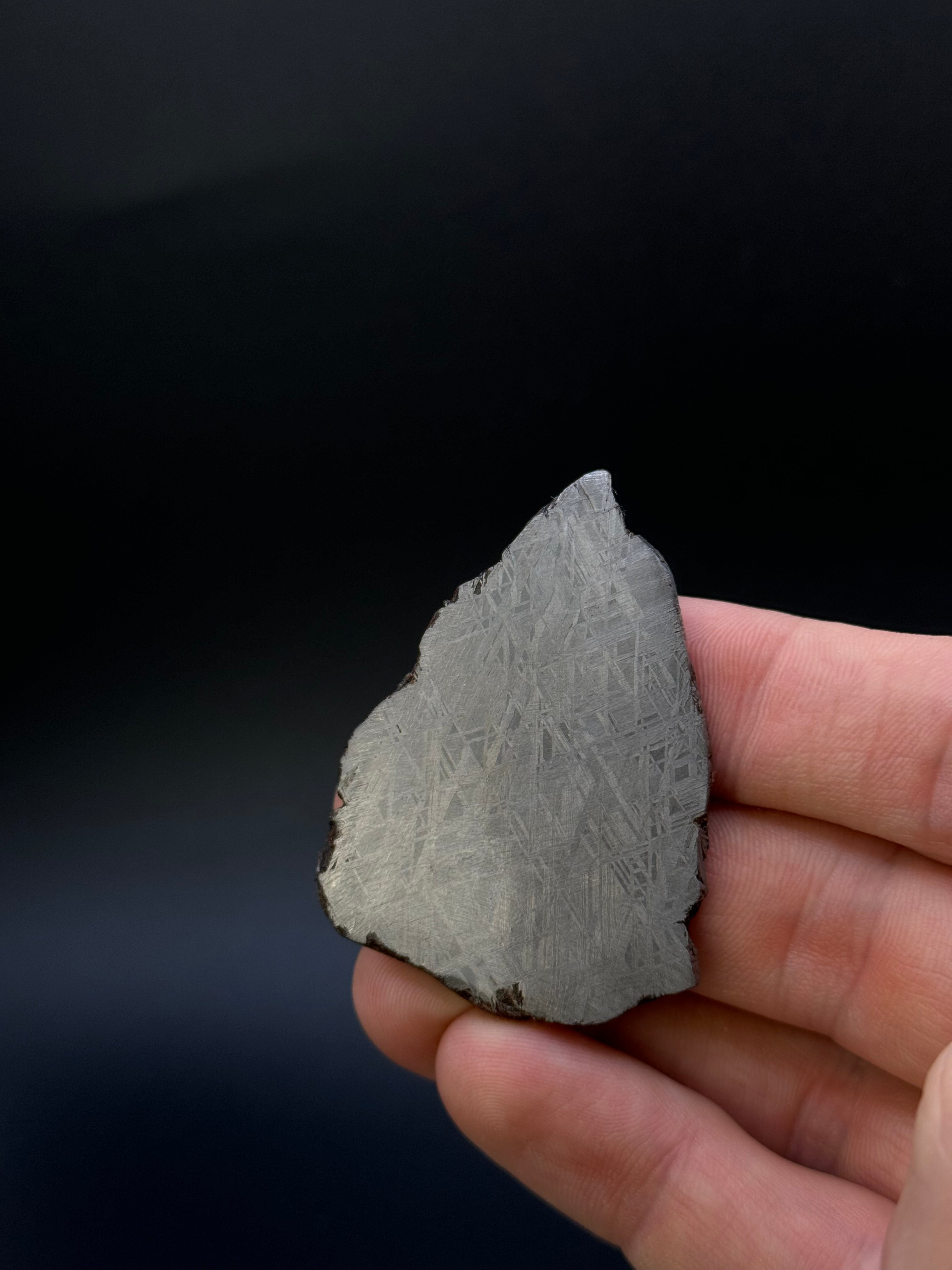 MUONIONALUSTA METEORITE, SWEDEN. 35,88 GRAMS.