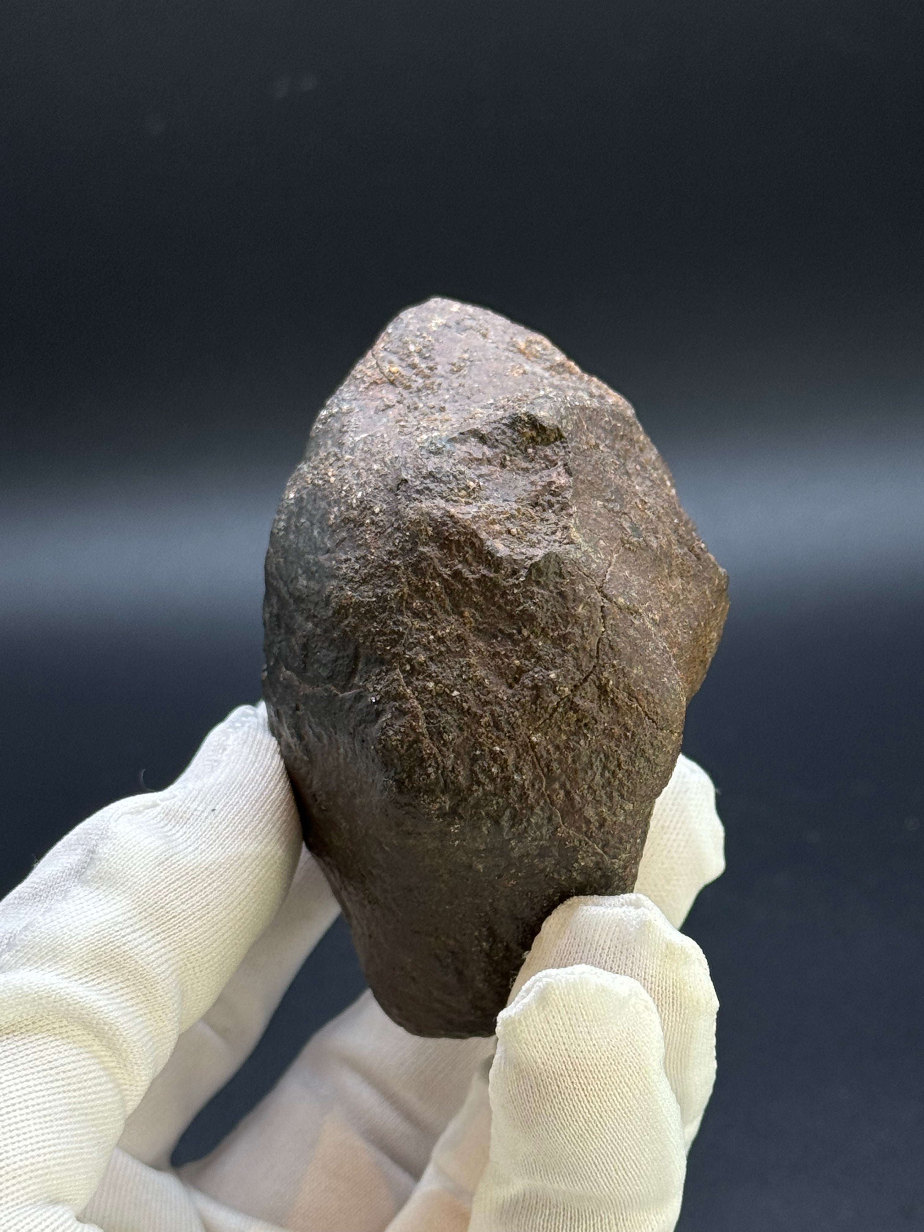 CHONDRITE METEORITE, NORTH WEST AFRICA. 352 GRAMS.
