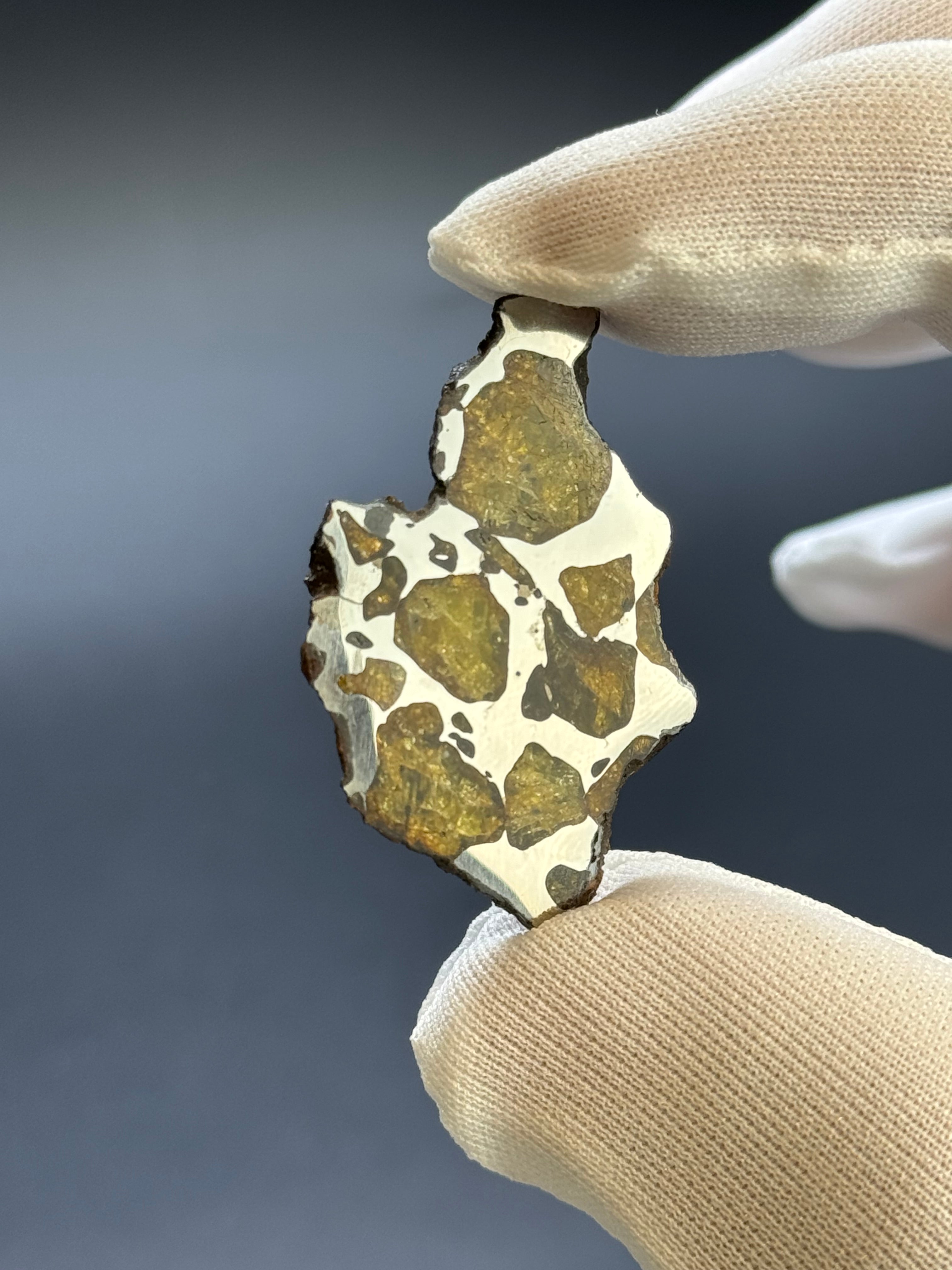 IMILAC PALLASITE METEORITE, CHILE. 6,55 GRAMS