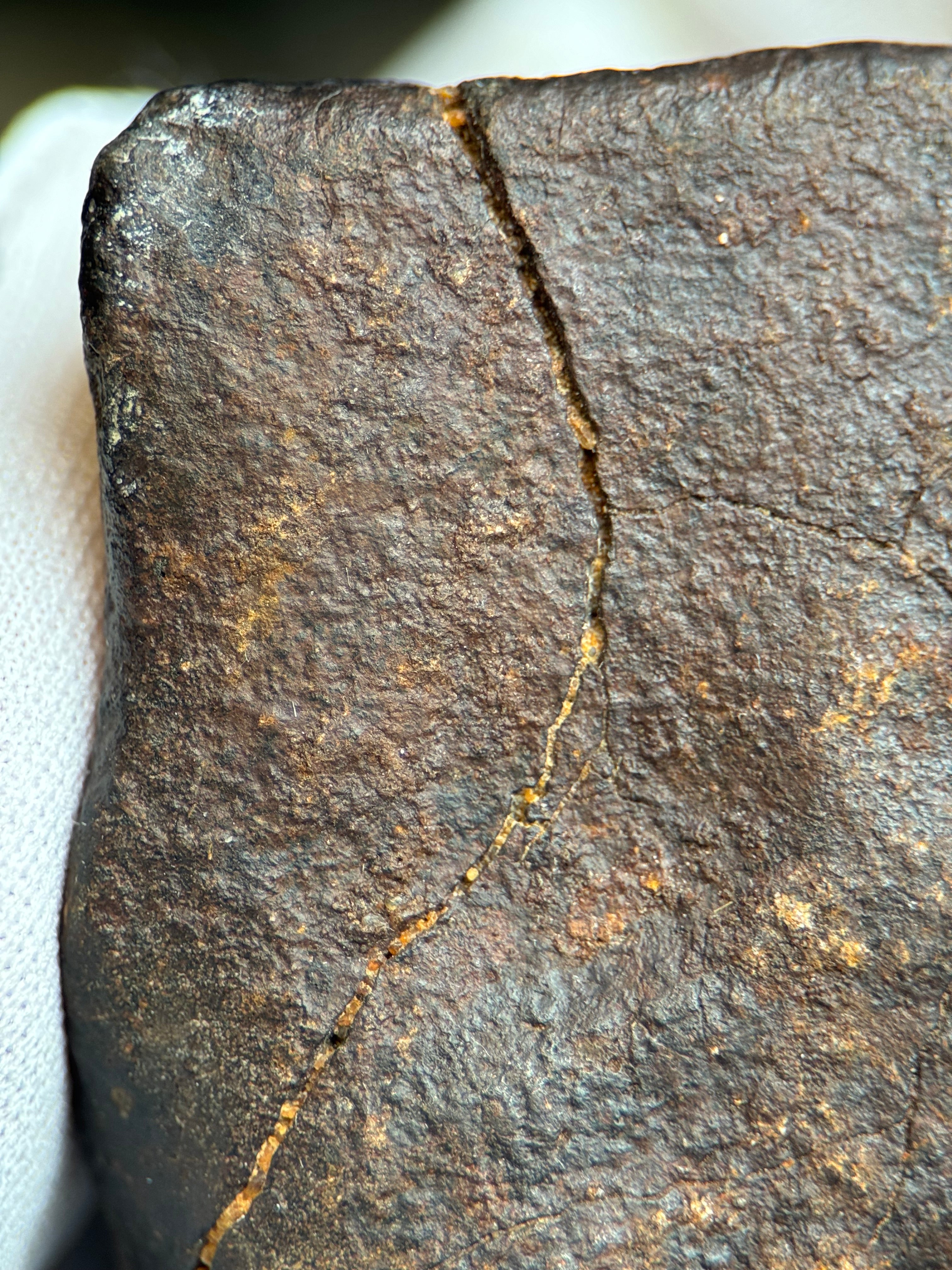 CHONDRITE METEORITE, NORTH WEST AFRICA. 263 GRAMS.