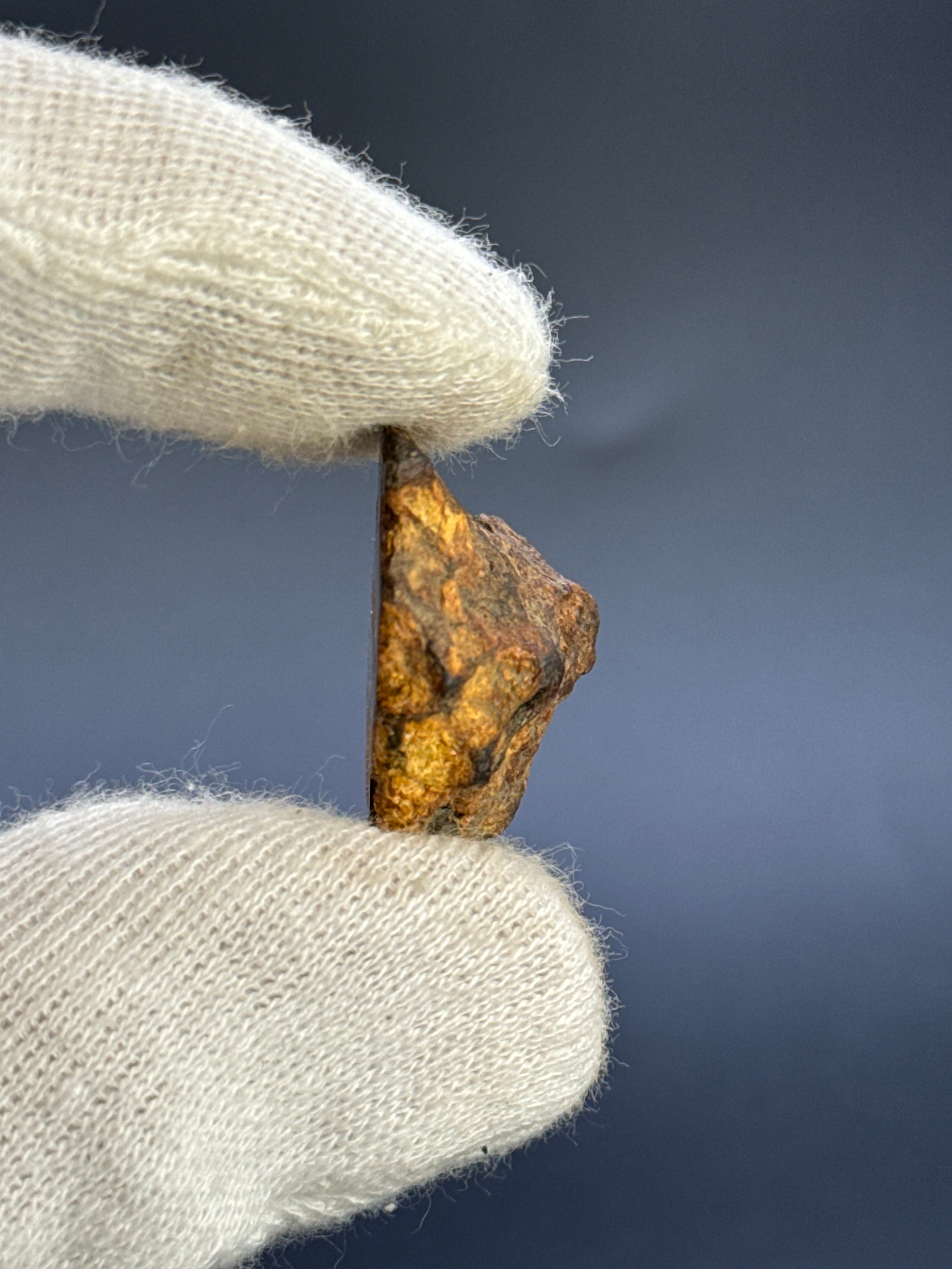 SERICHO PALLASITE METEORITE, KENYA. 14,8 GRAMS END-CUT.