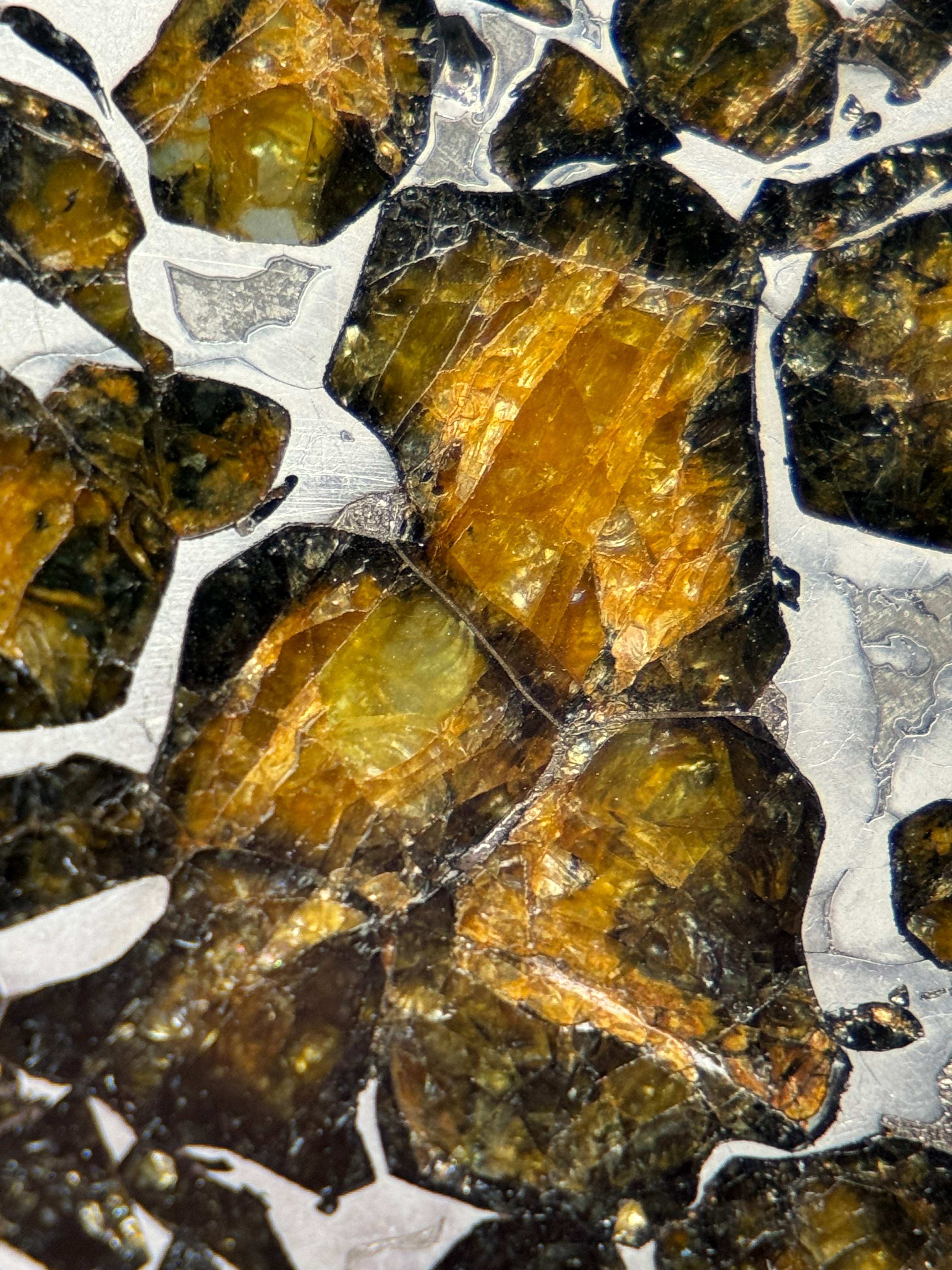 SEYMCHAN METEORITE, MAGADAN REGION, RUSSIA. 36,6 GRAMS SLICE.