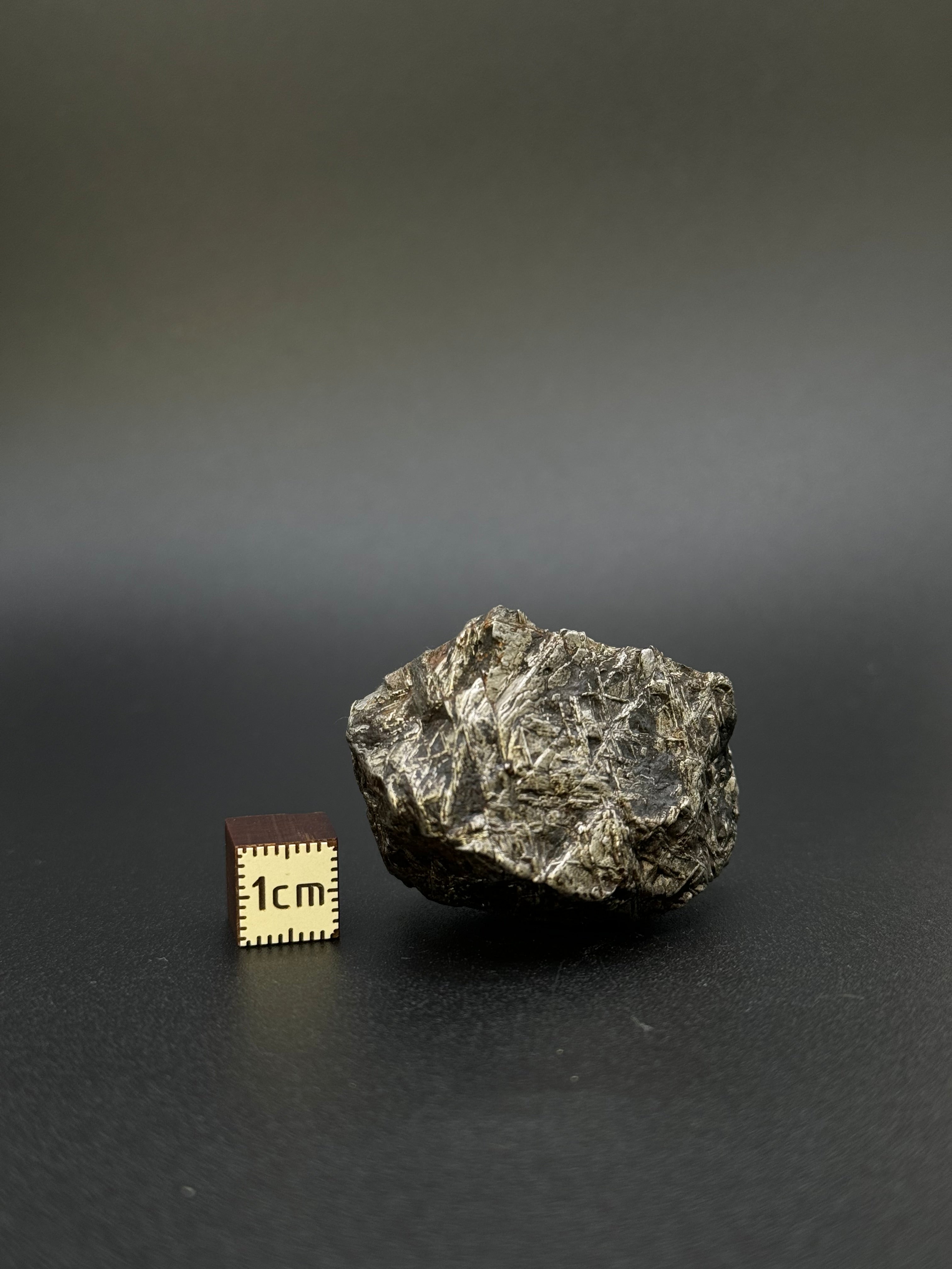 MUONIONALUSTA METEORITE, SWEDEN. 82,64 GRAMS END-CUT.