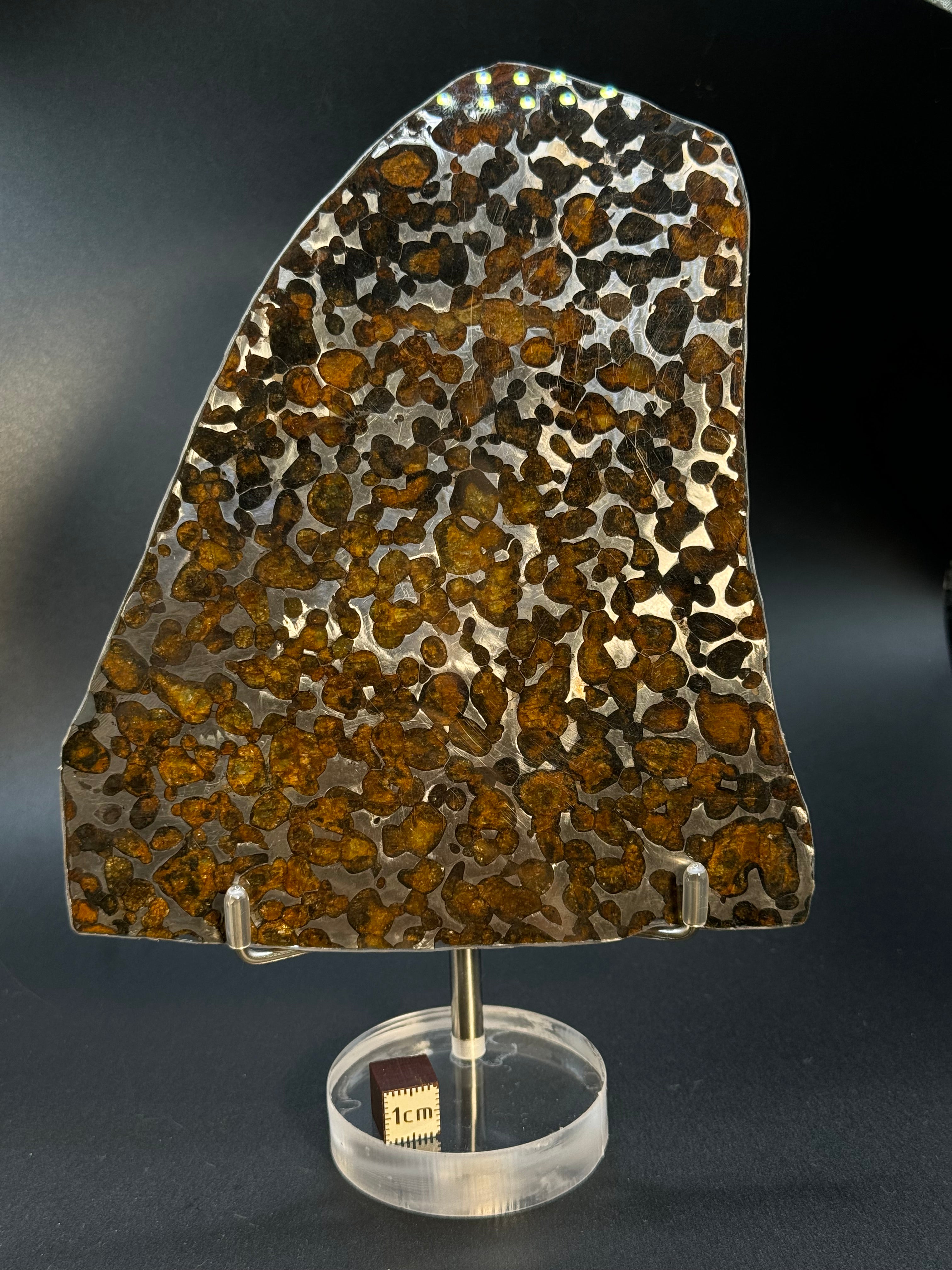 SERICHO METEORITE, KENYA. 87 GRAMS SLICE