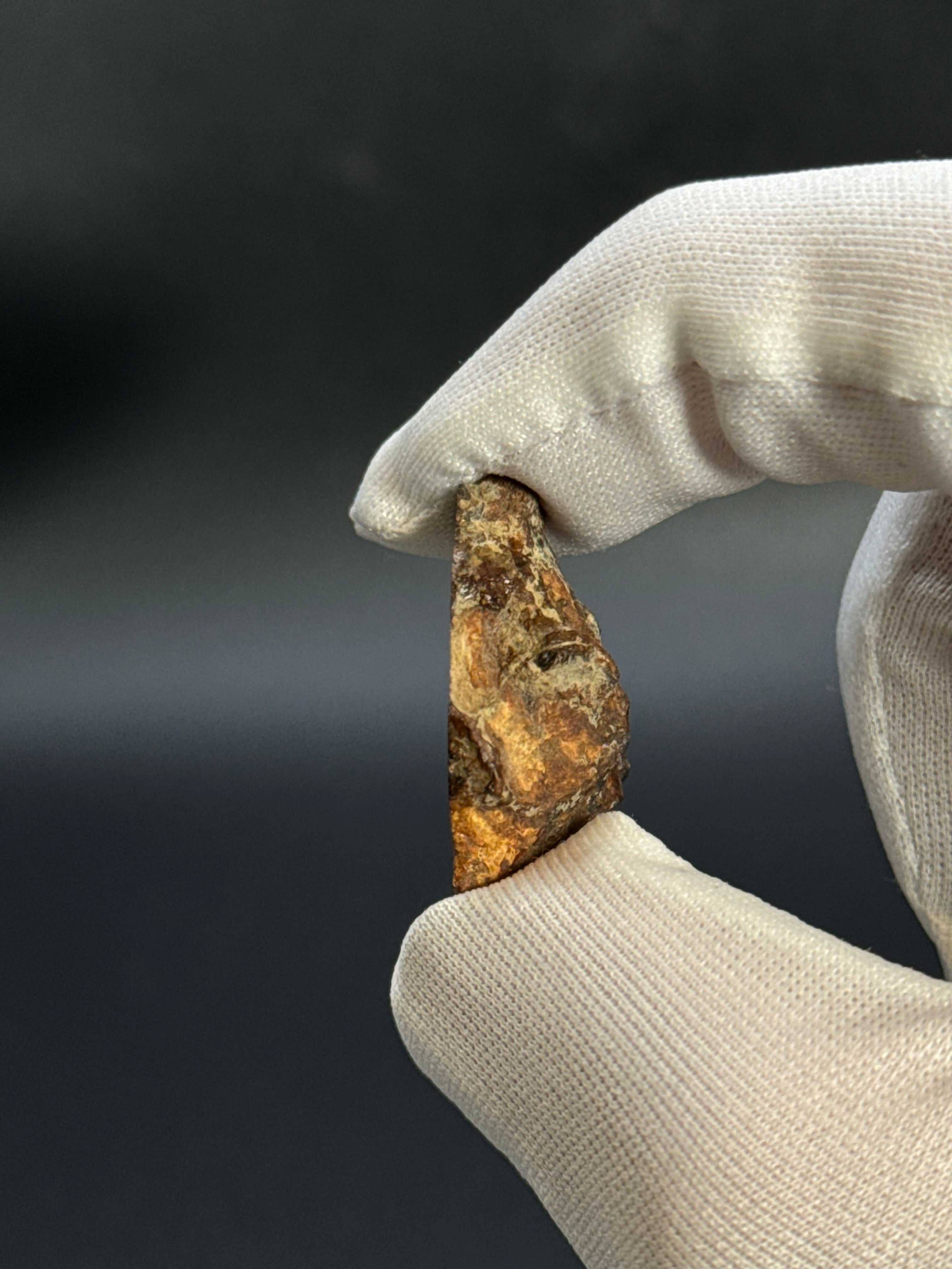 SERICHO PALLASITE METEORITE, KENYA. 12,03 GRAMS END-CUT