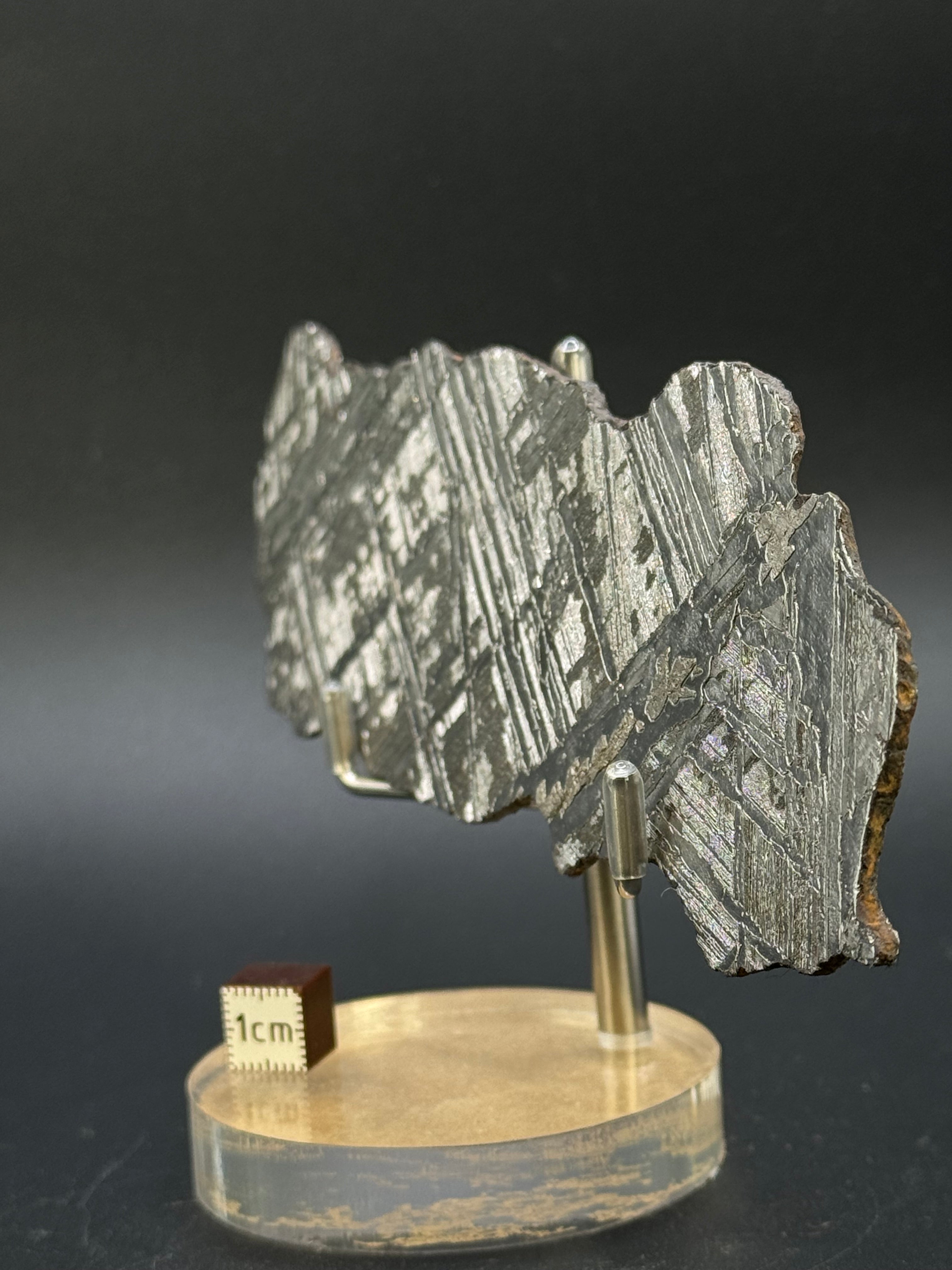 Seymchan meteorite, Magadan region, Russia. 111 grams.