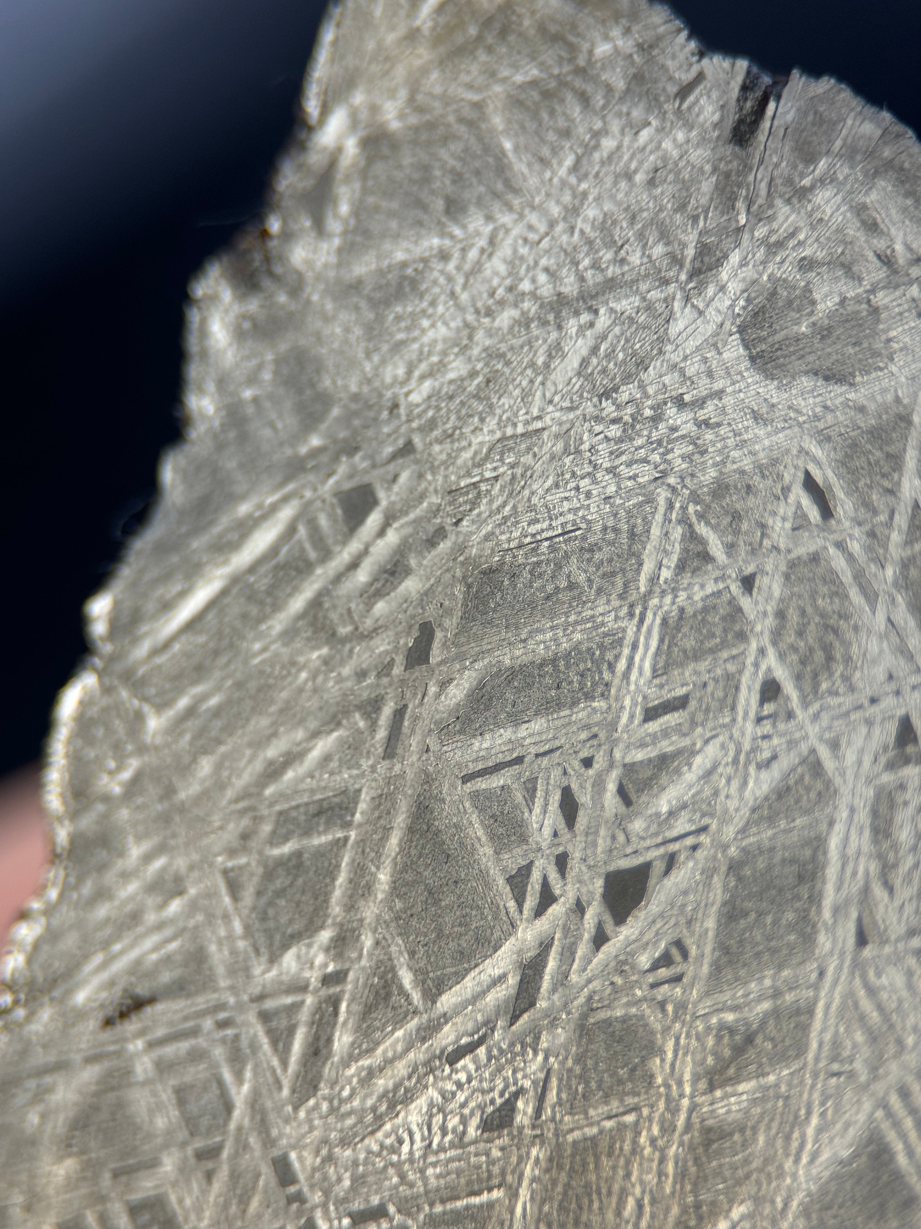 MUONIONALUSTA METEORITE, SWEDEN. 242 GRAMS END-CUT.