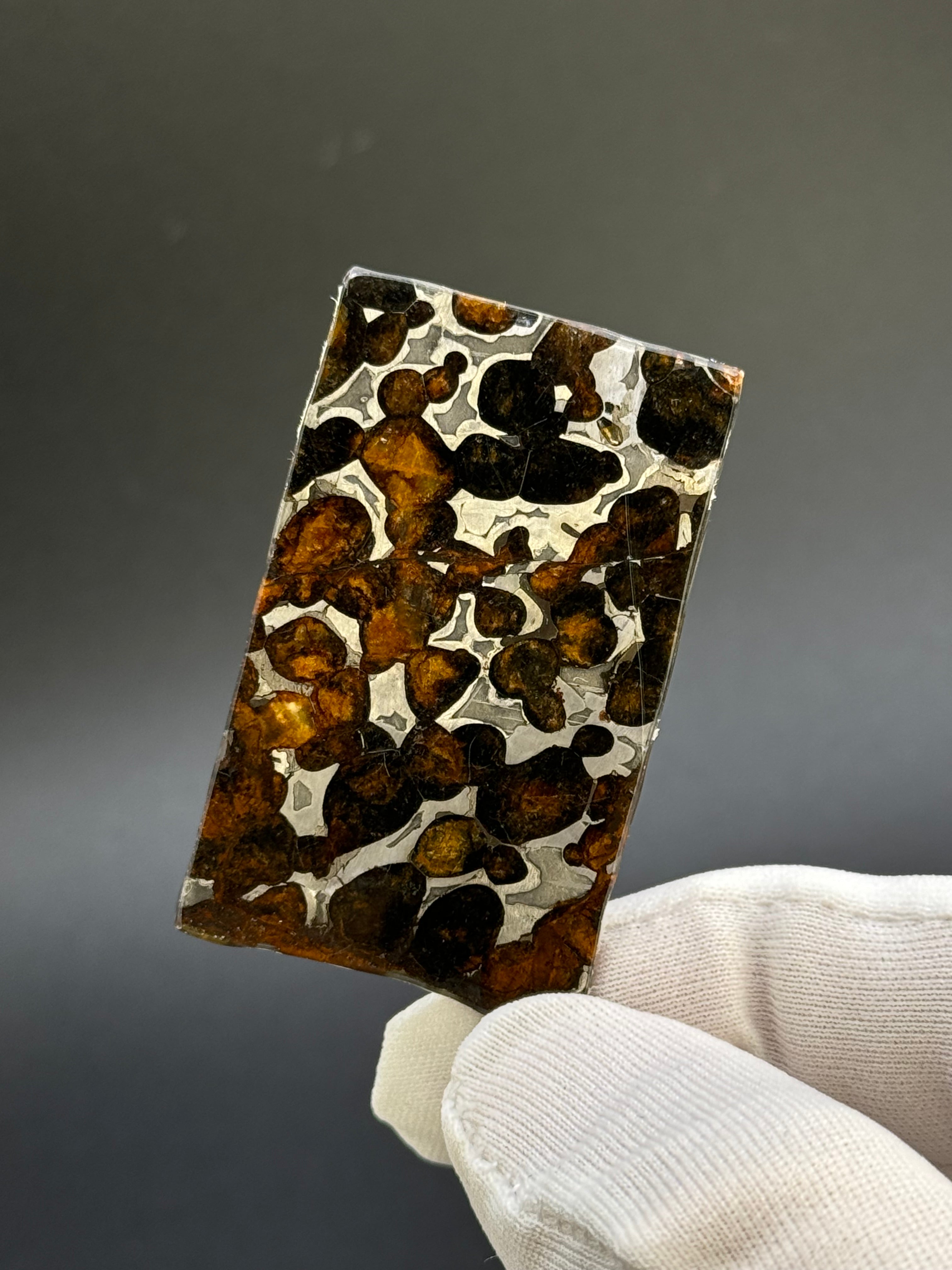 SERICHO METEORITE, KENYA. 11,13 GRAMS SLICE