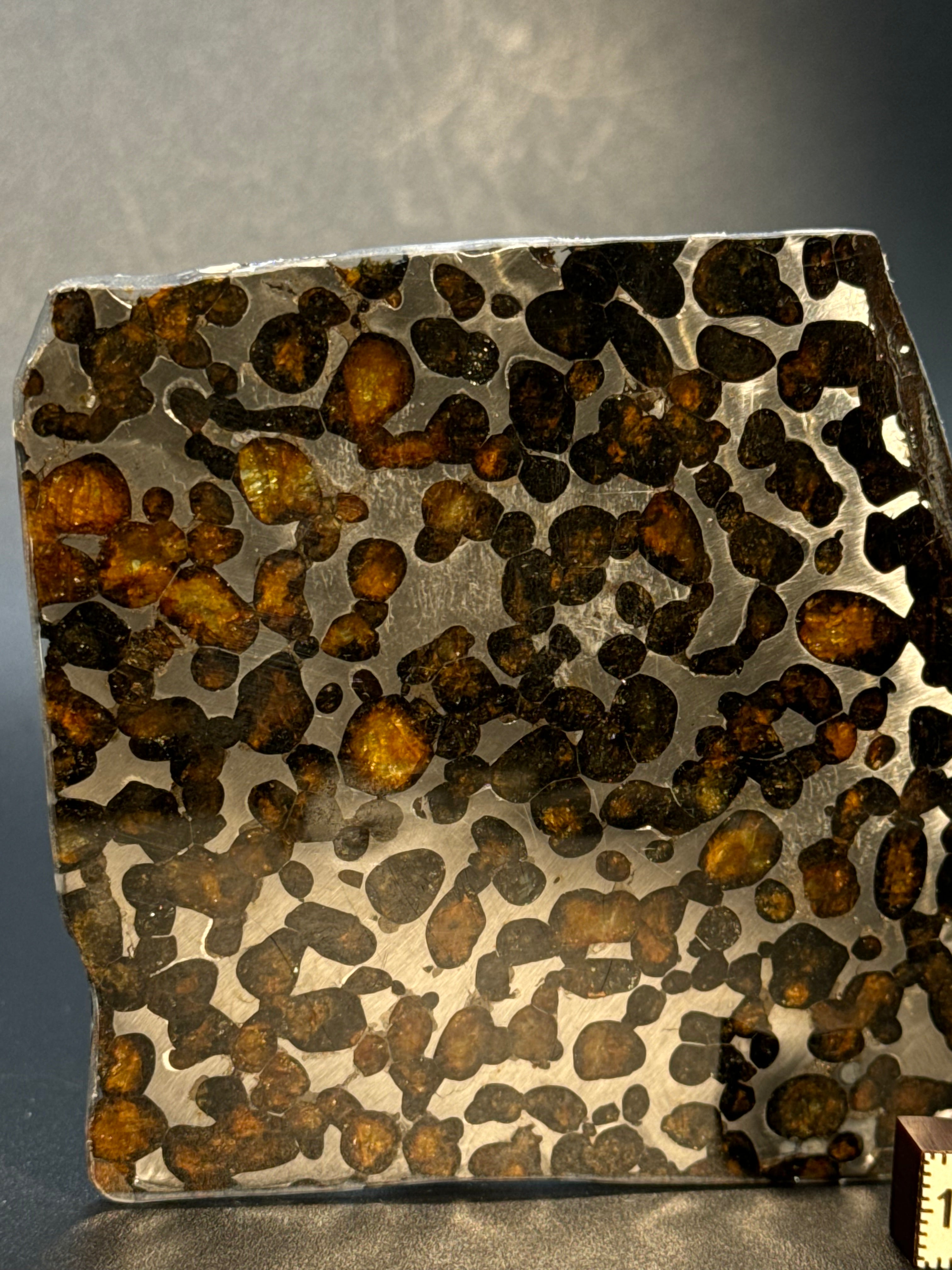 SERICHO METEORITE, KENYA. 58 GRAMS SLICE