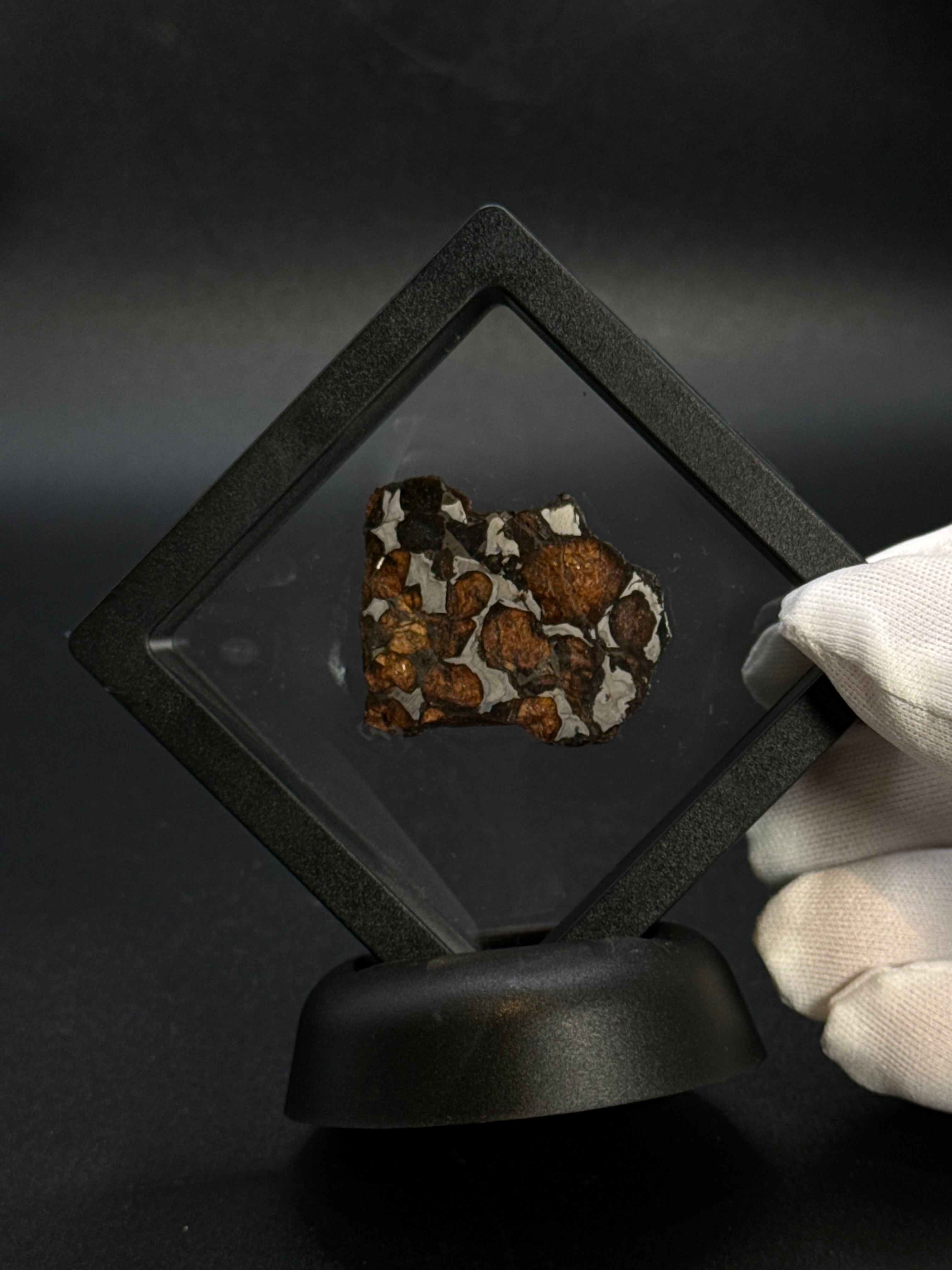 SERICHO PALLASITE METEORITE, KENYA. 15,28 GRAMS END-CUT
