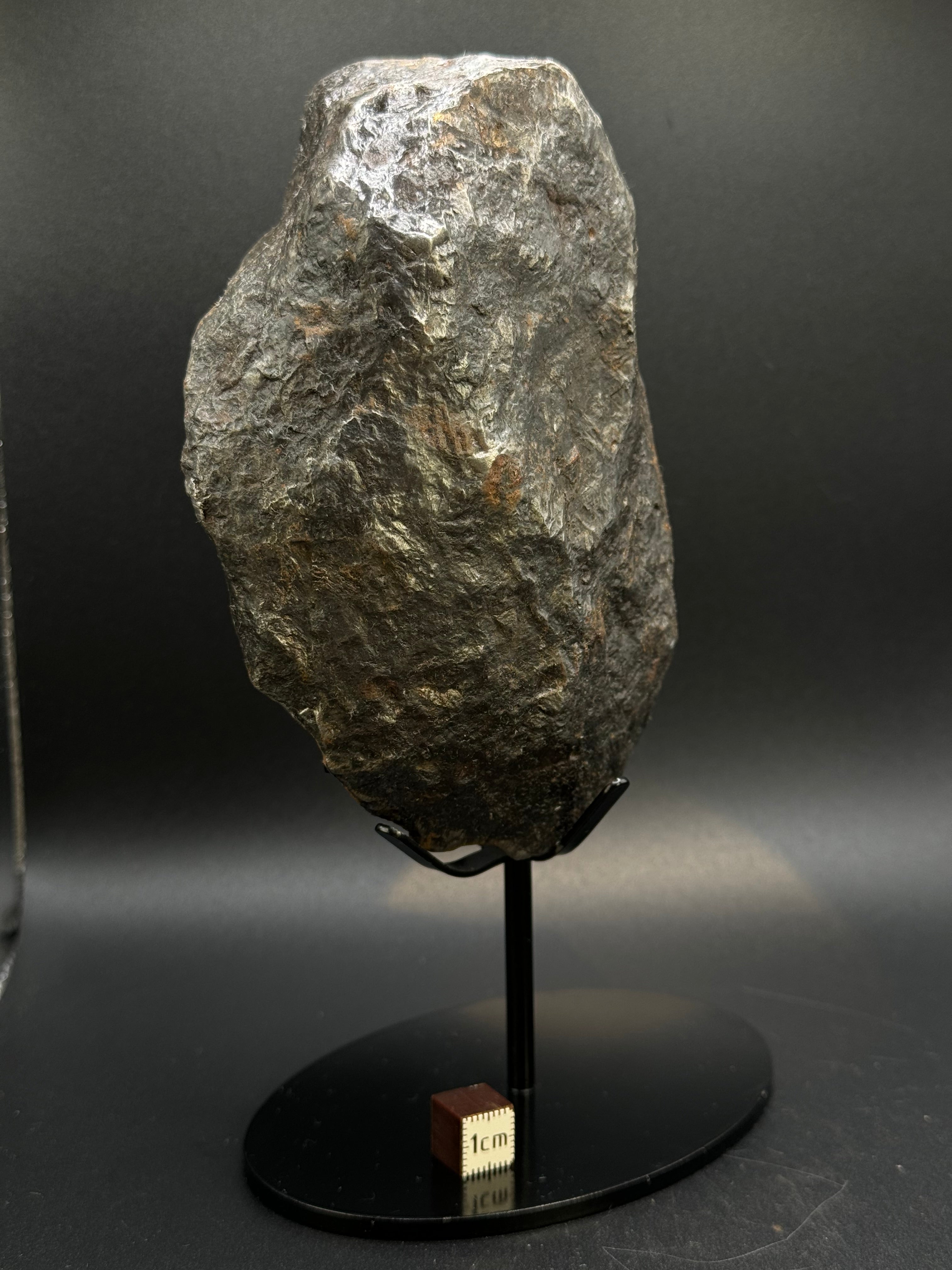 MUONIONALUSTA METEORITE, SWEDEN. FULL METEORITE 1711 grams.