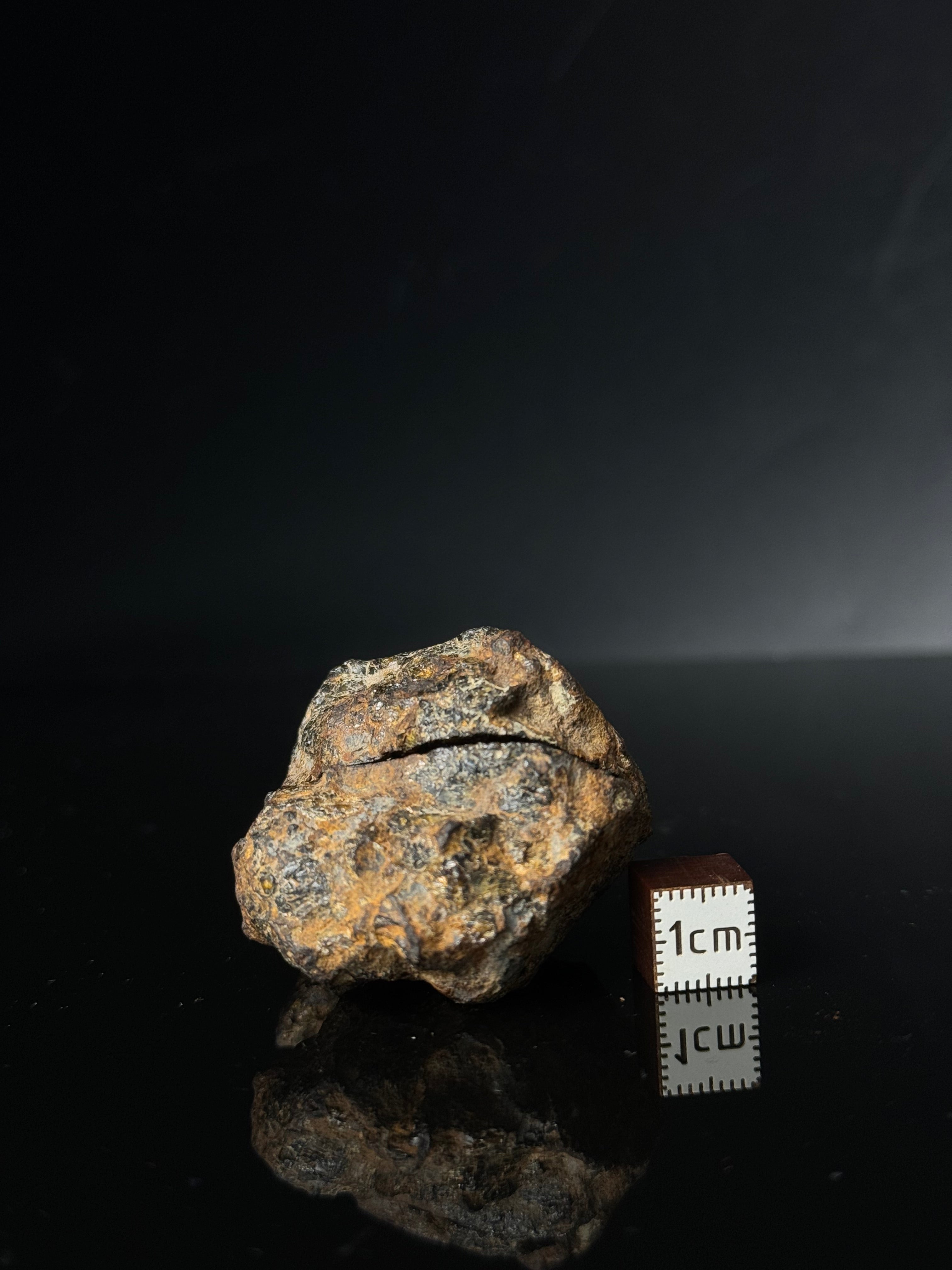 FULL SERICHO METEORITE FROM KENYA, IN TWO HALVES. TOTAL WEIGHT: 85,66 GRAMS.