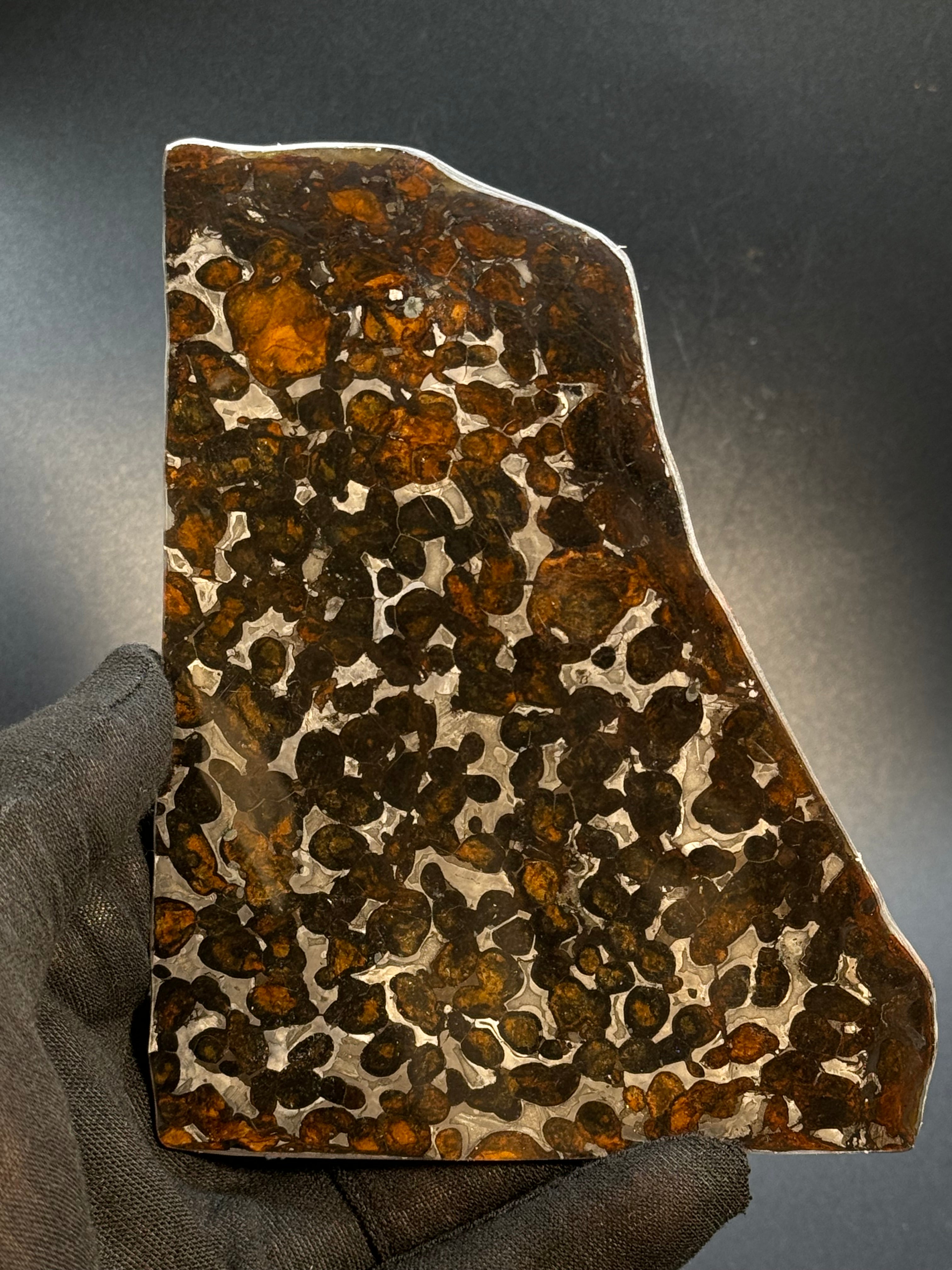 SERICHO METEORITE, KENYA. 65 GRAMS SLICE