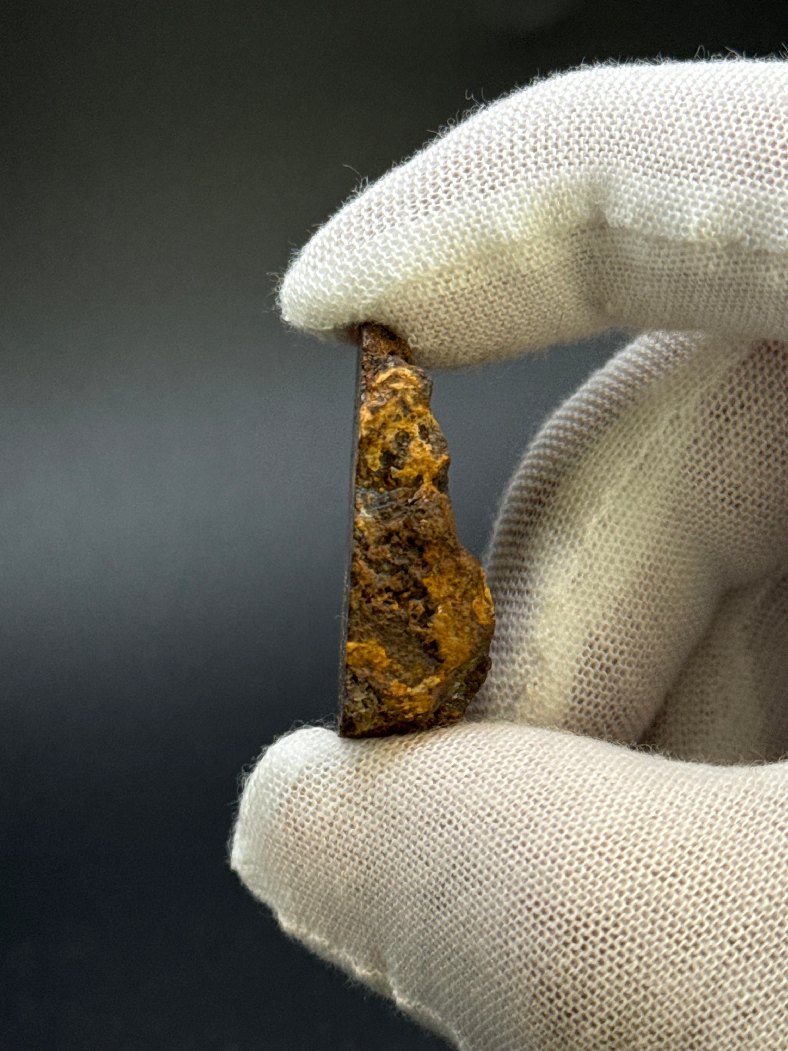 SERICHO PALLASITE METEORITE, KENYA. 13,59 GRAMS END-CUT