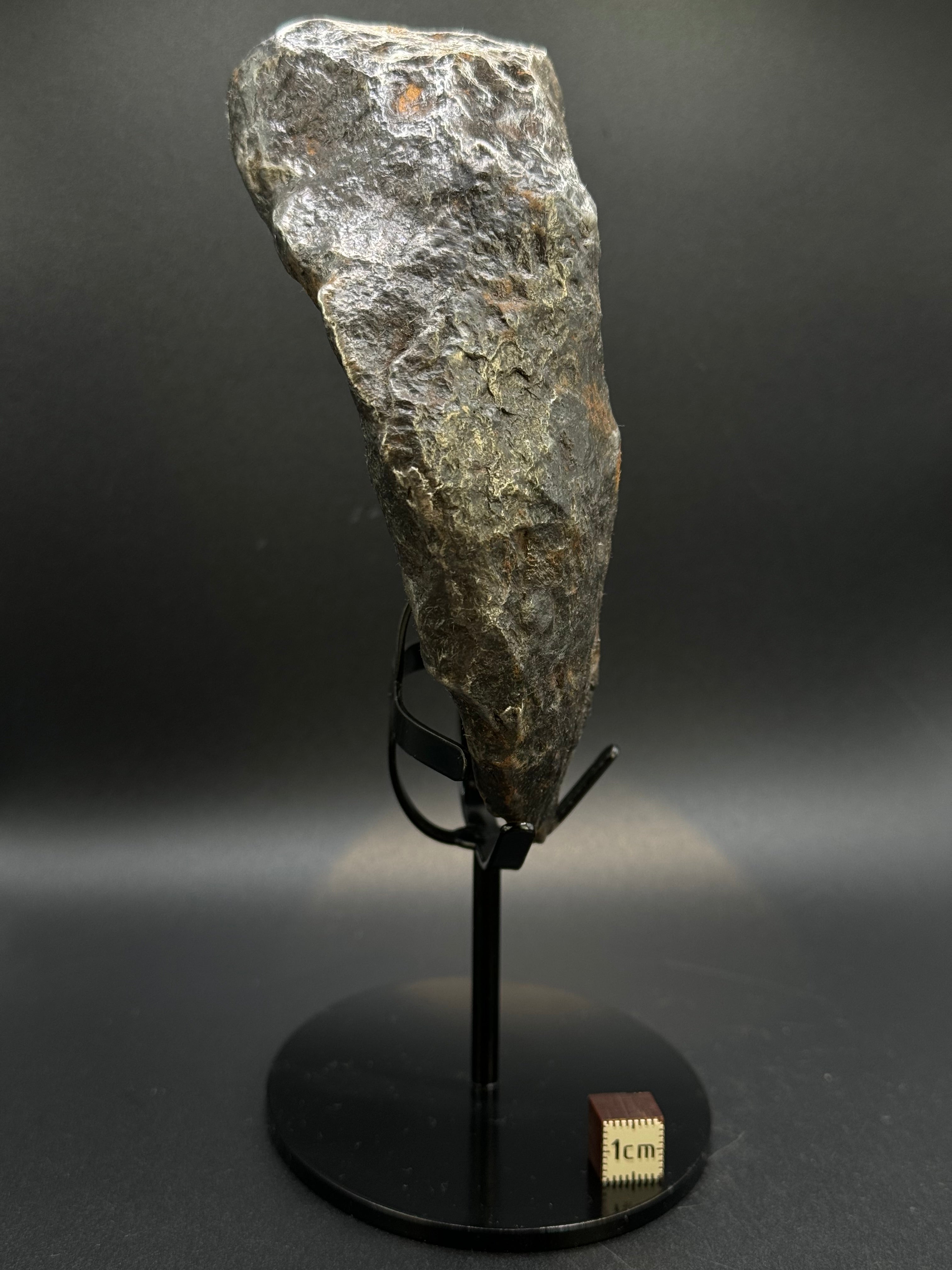 MUONIONALUSTA METEORITE, SWEDEN. FULL METEORITE 1711 grams.