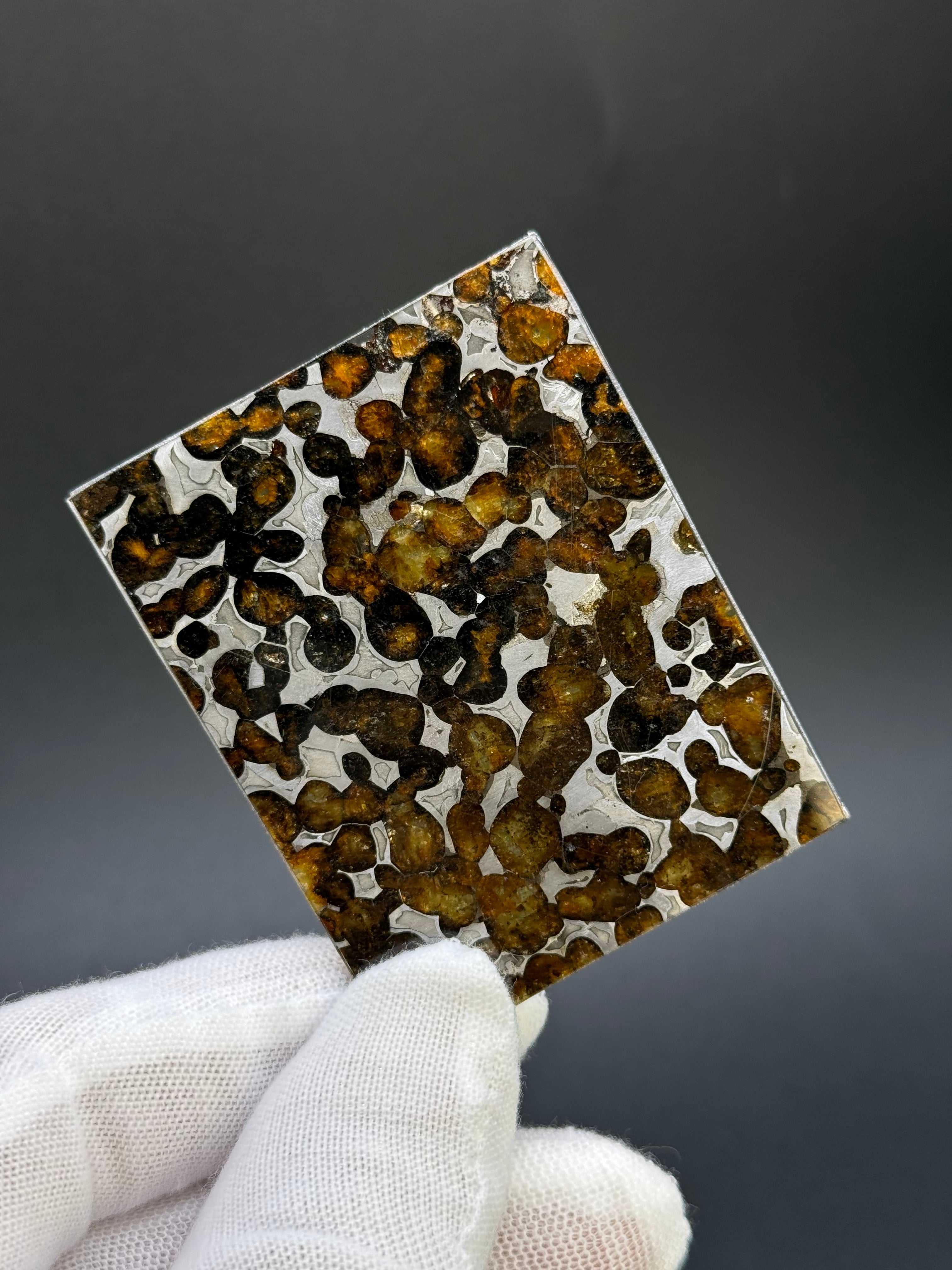 SERICHO METEORITE, KENYA. 26,10 GRAMS SLICE