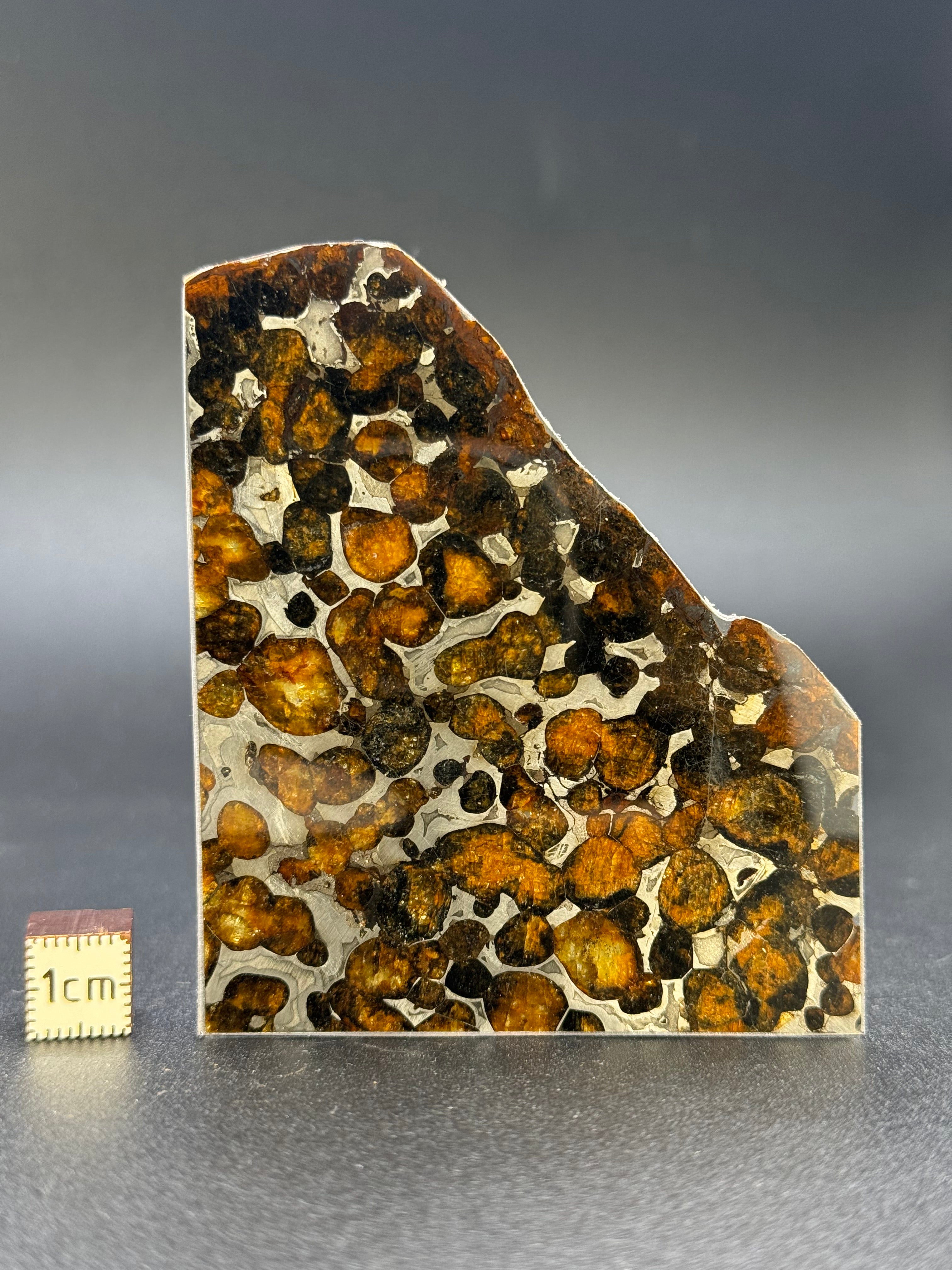SERICHO METEORITE, KENYA. 23 GRAMS.