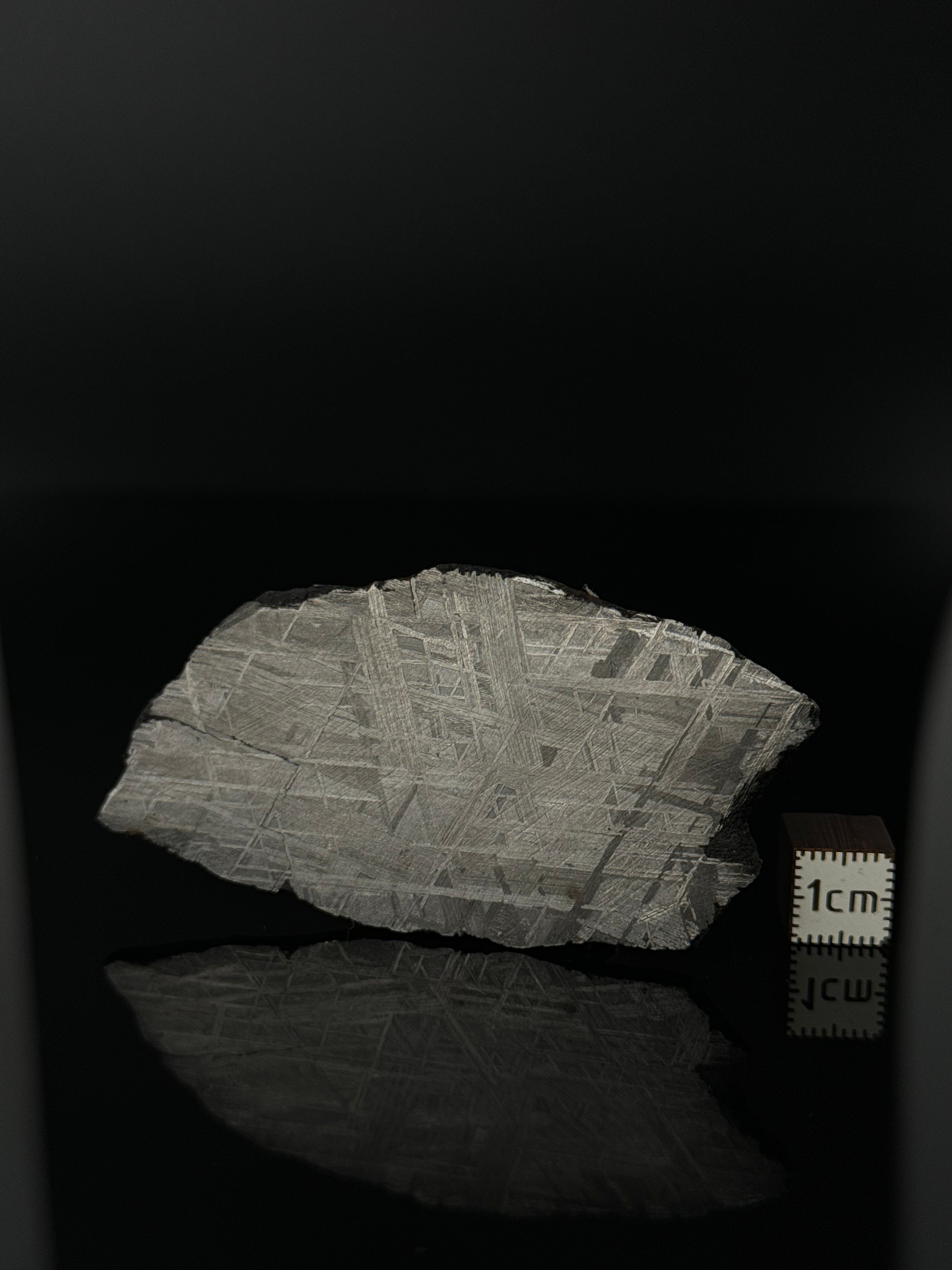 MUONIONALUSTA METEORITE, SWEDEN 49,32 GRAMS.