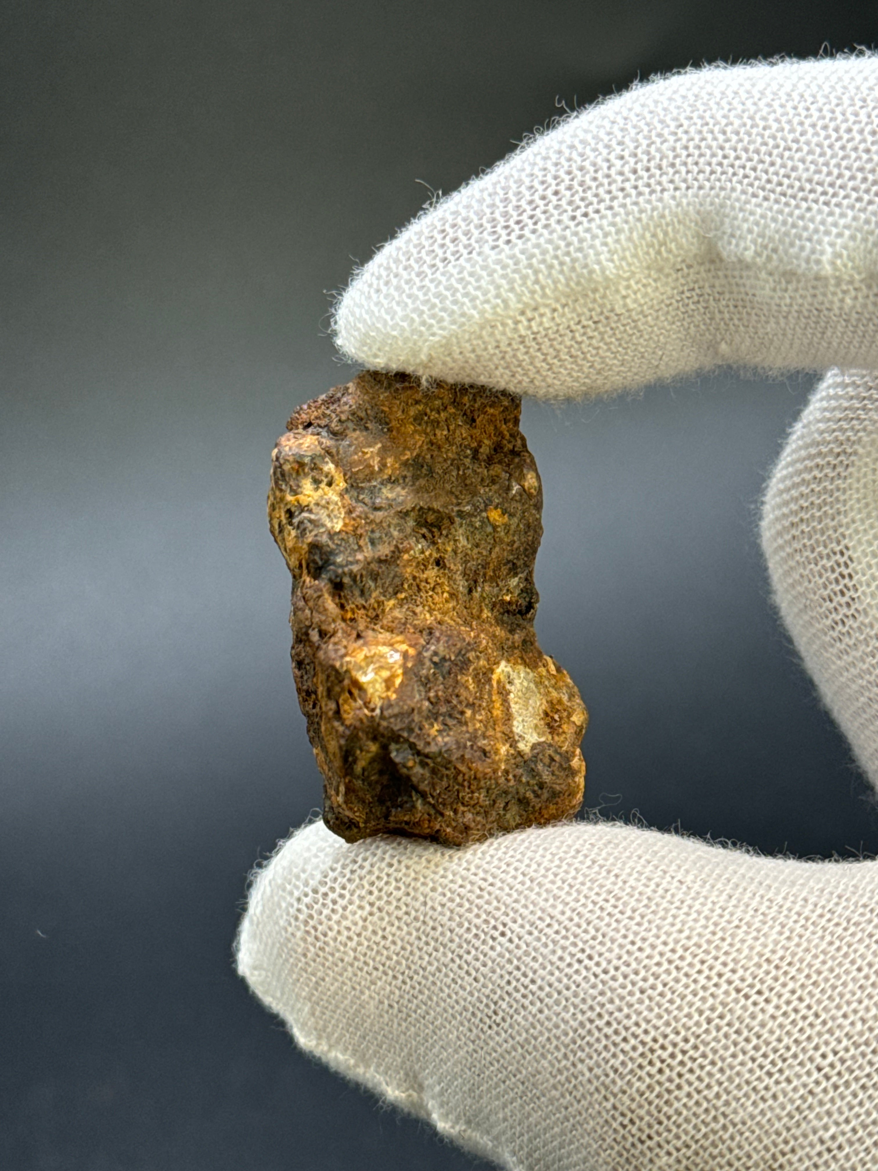 SERICHO PALLASITE METEORITE, KENYA. 13,59 GRAMS END-CUT