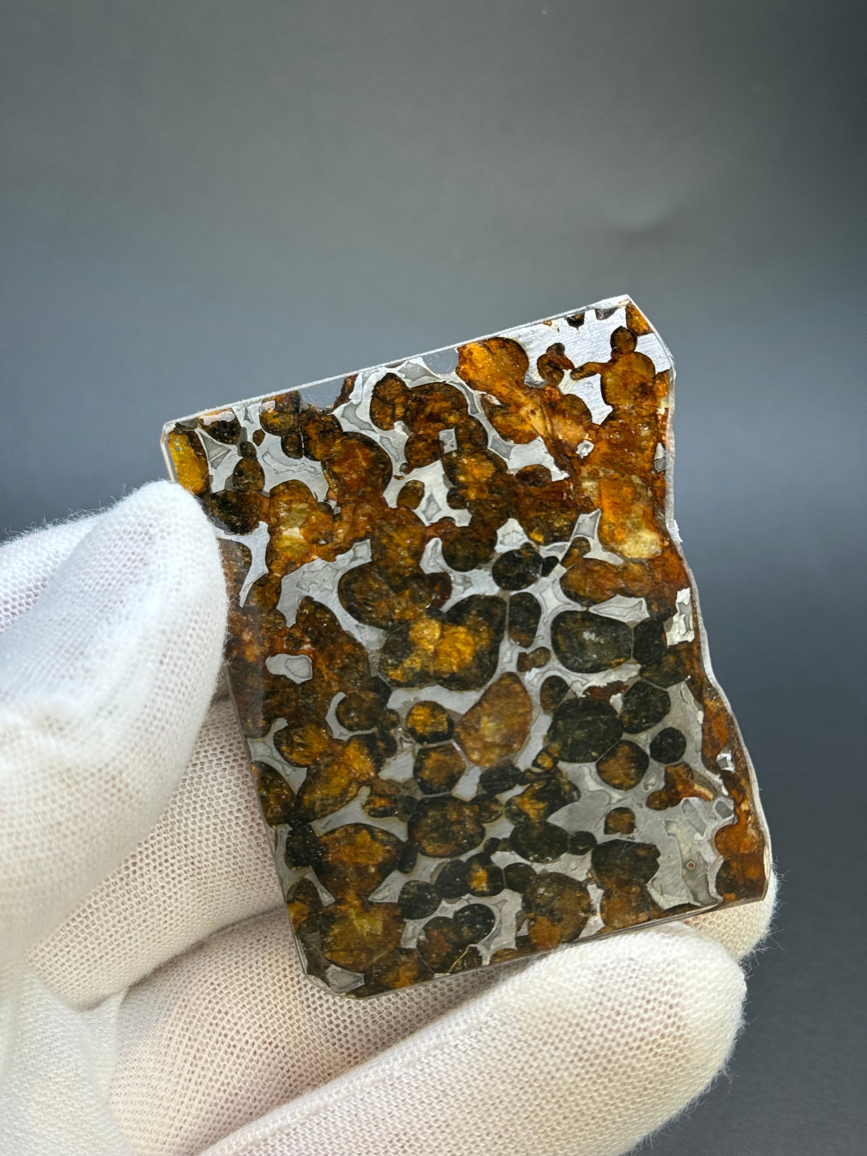 SERICHO METEORITE, KENYA. 21,80 GRAMS SLICE