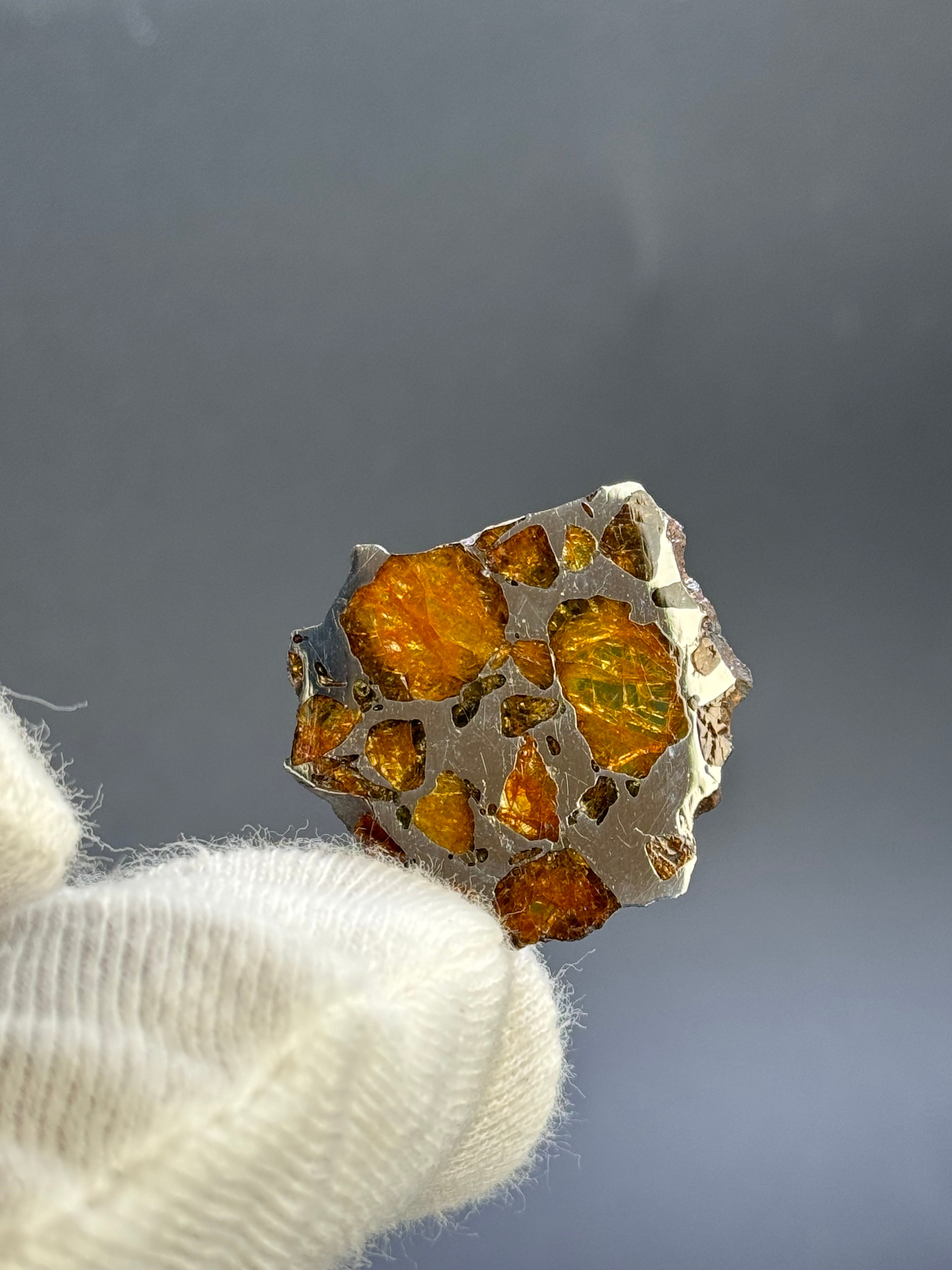 IMILAC PALLASITE METEORITE, CHILE. 7,43 Grams