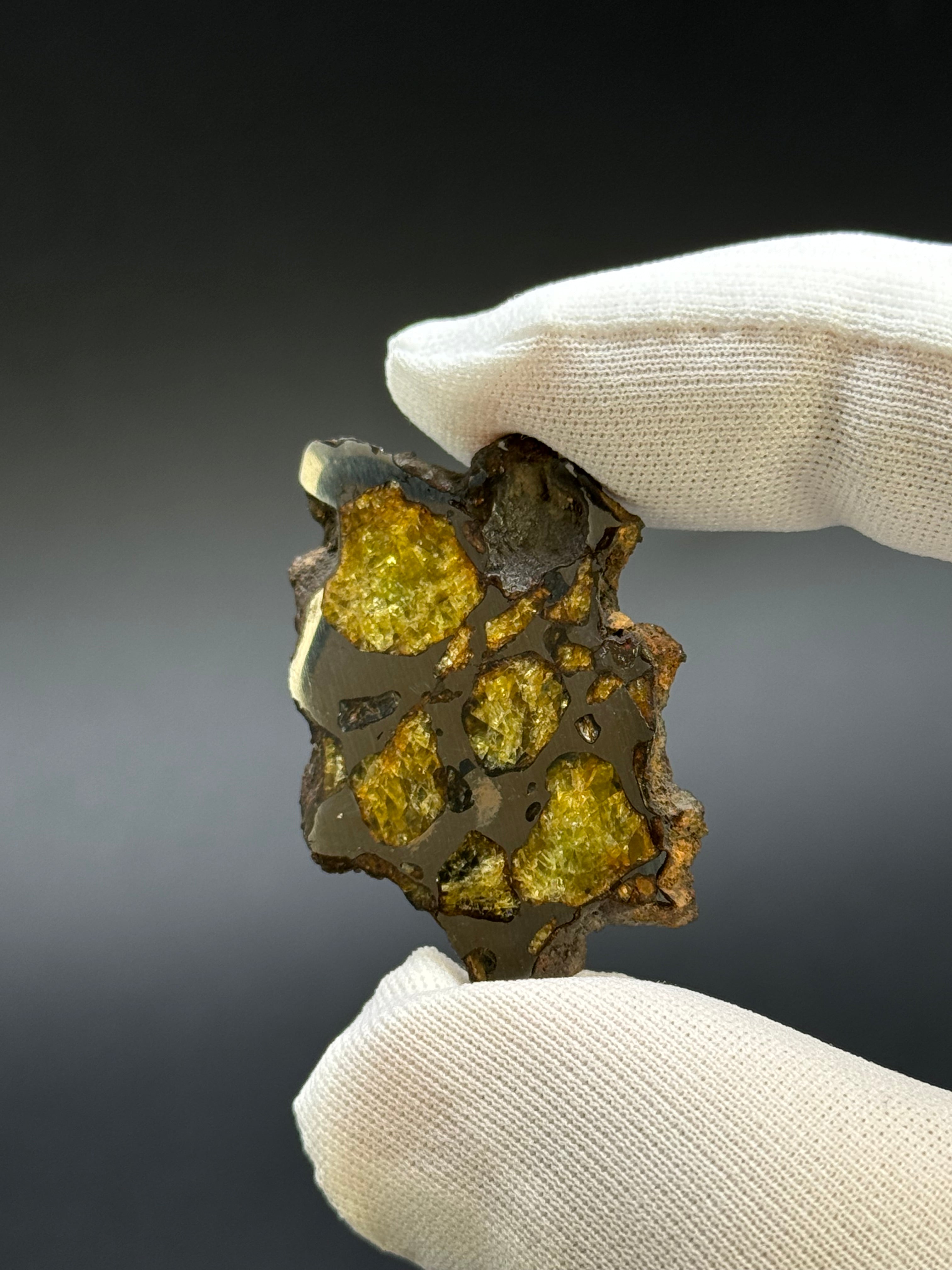 IMILAC PALLASITE METEORITE, CHILE. 7,38 GRAMS