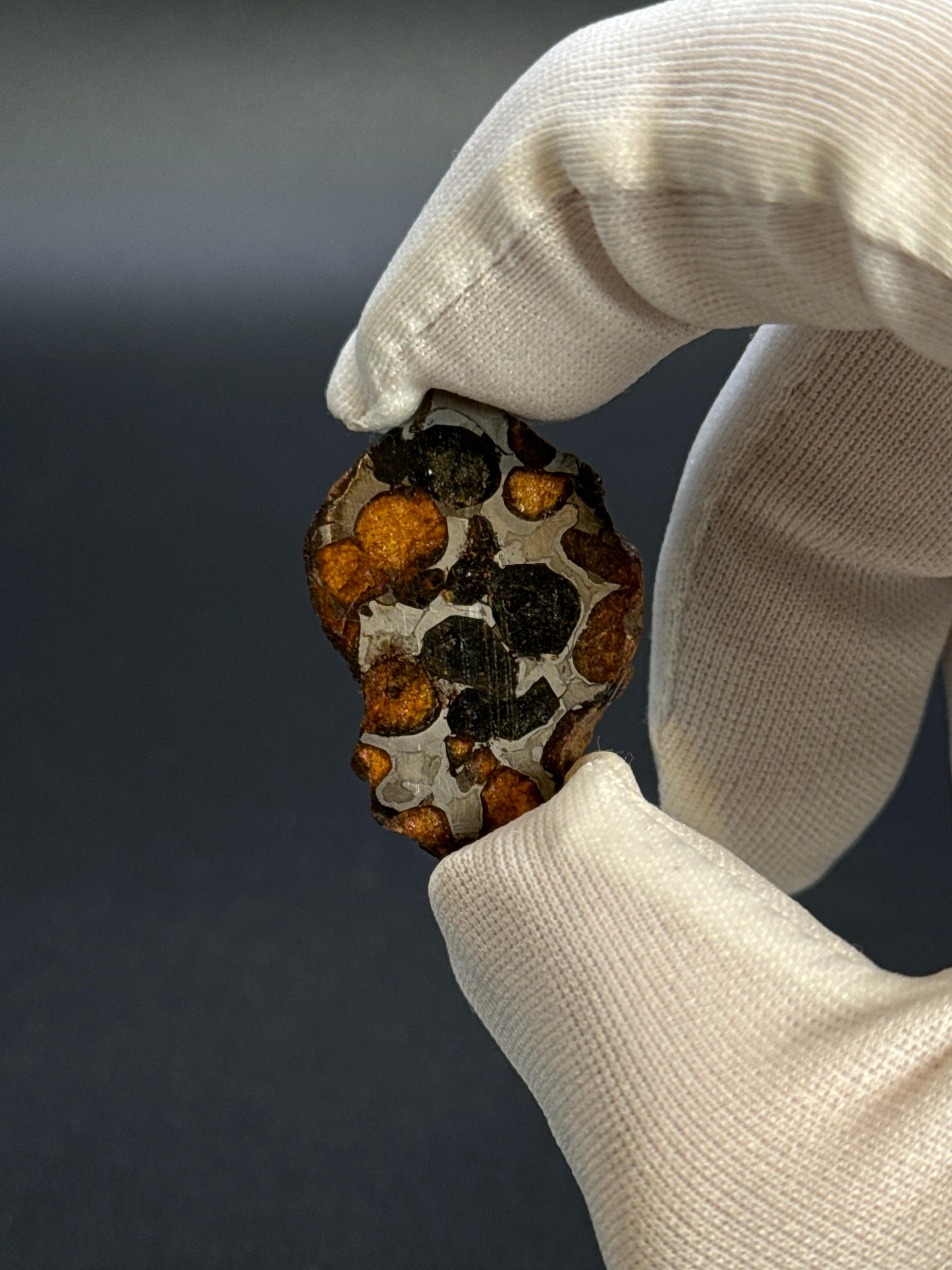 SERICHO PALLASITE METEORITE, KENYA. 10,40 GRAMS END-CUT