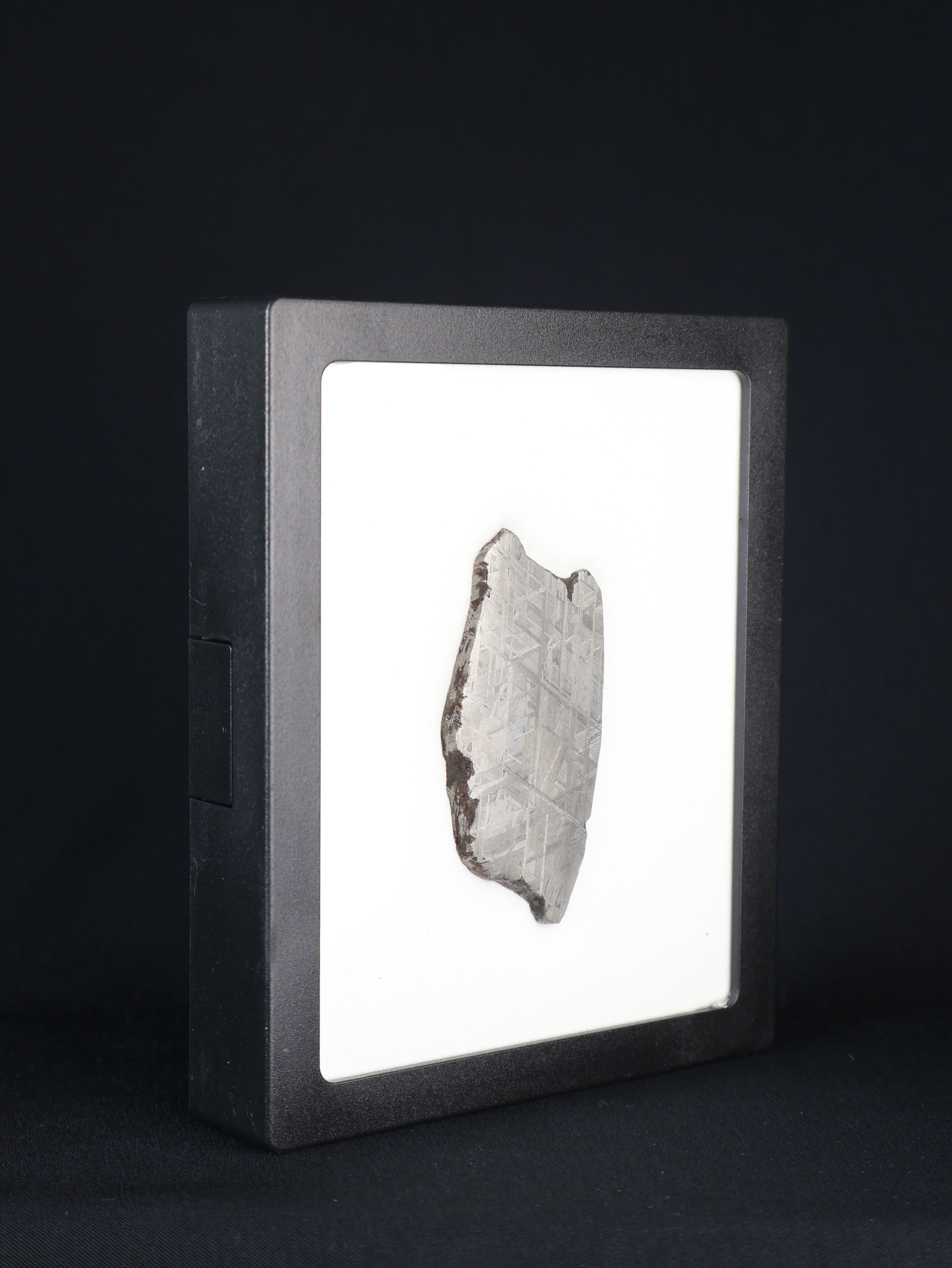 MUONIONALUSTA METEORITE, SWEDEN. 49,18 GRAMS.