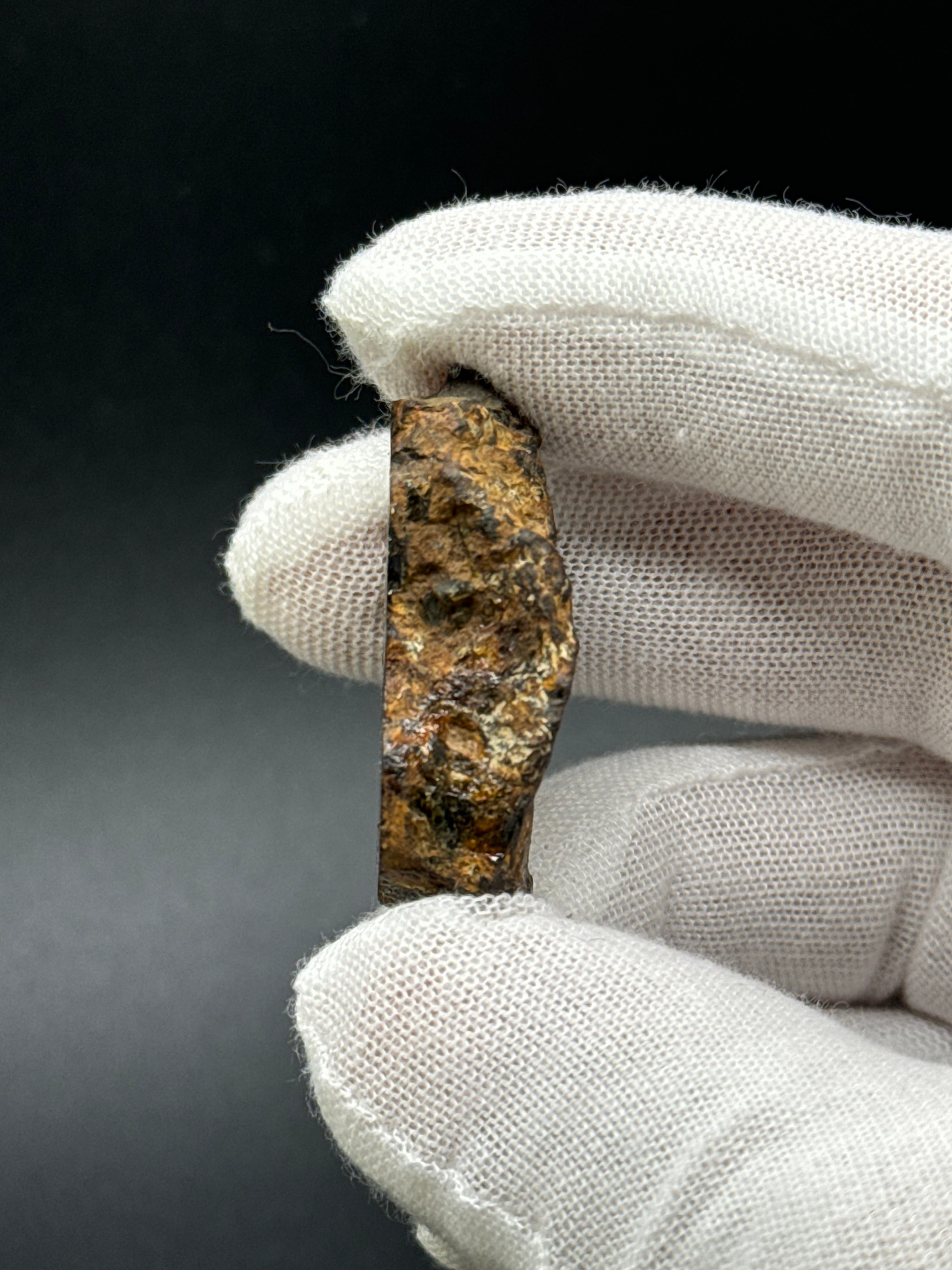 SERICHO PALLASITE METEORITE, KENYA. 31,69 GRAMS END-CUT.