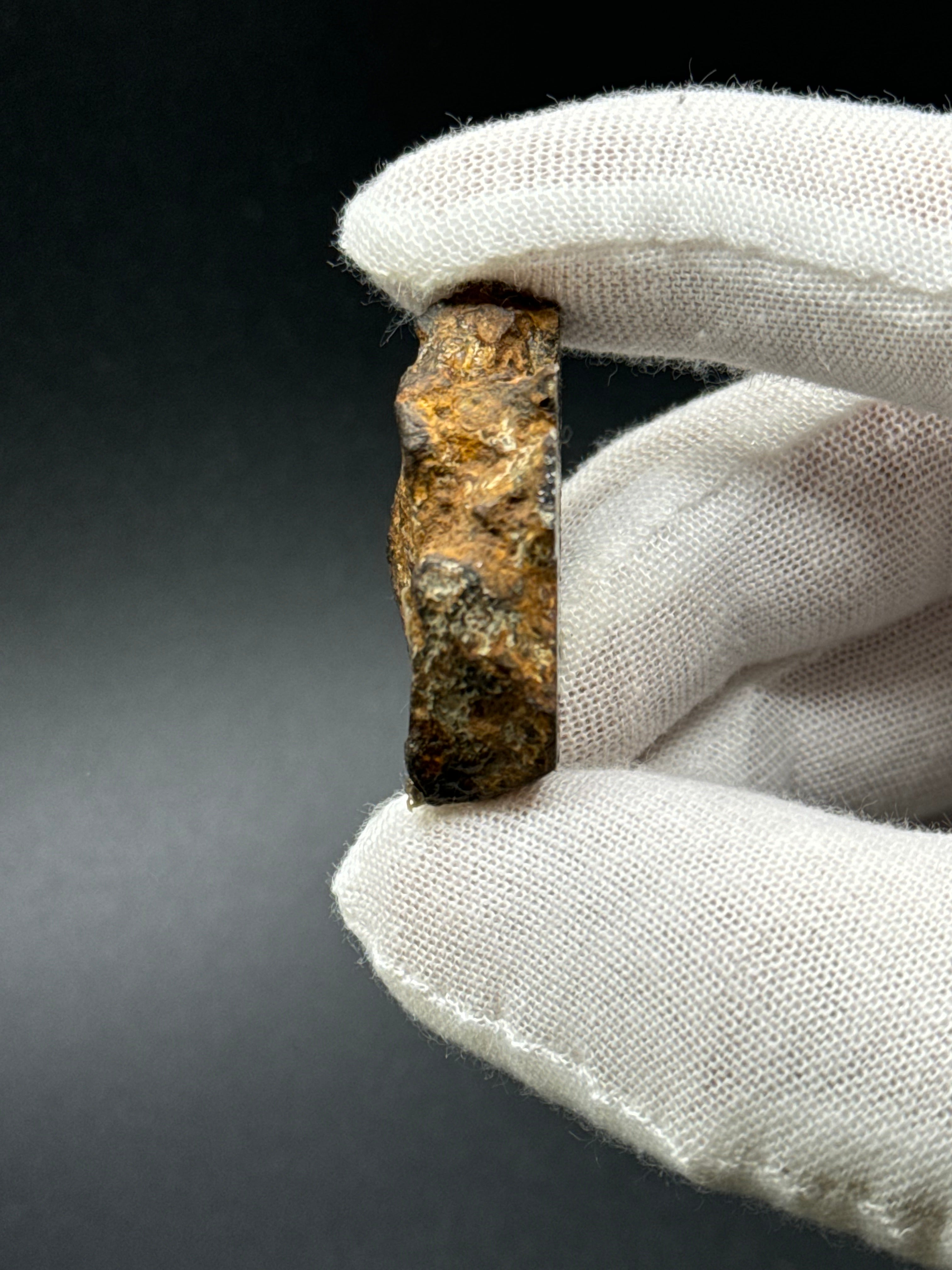 SERICHO PALLASITE METEORITE, KENYA. 31,69 GRAMS END-CUT.