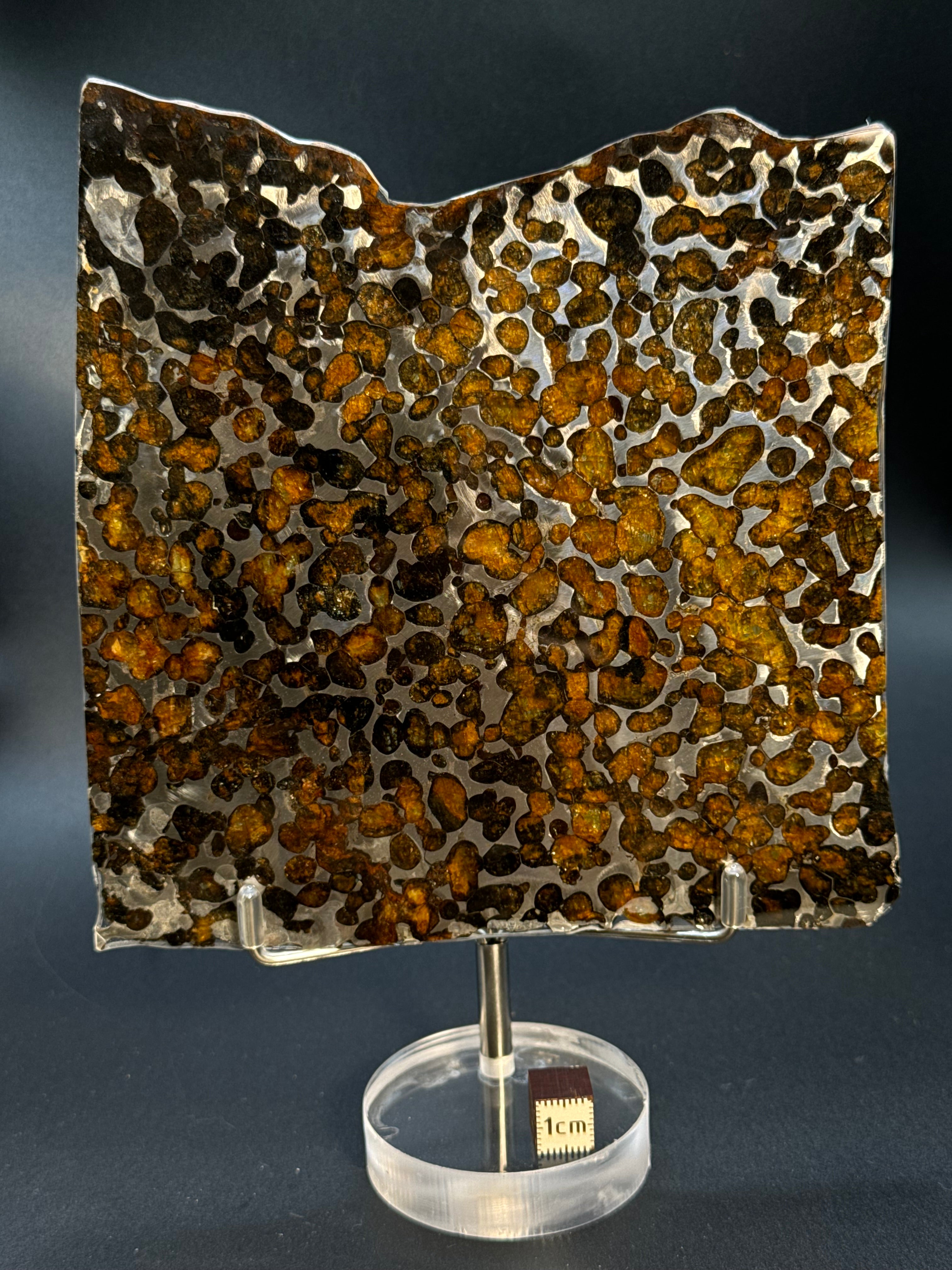 SERICHO METEORITE, KENYA. 116 GRAMS SLICE